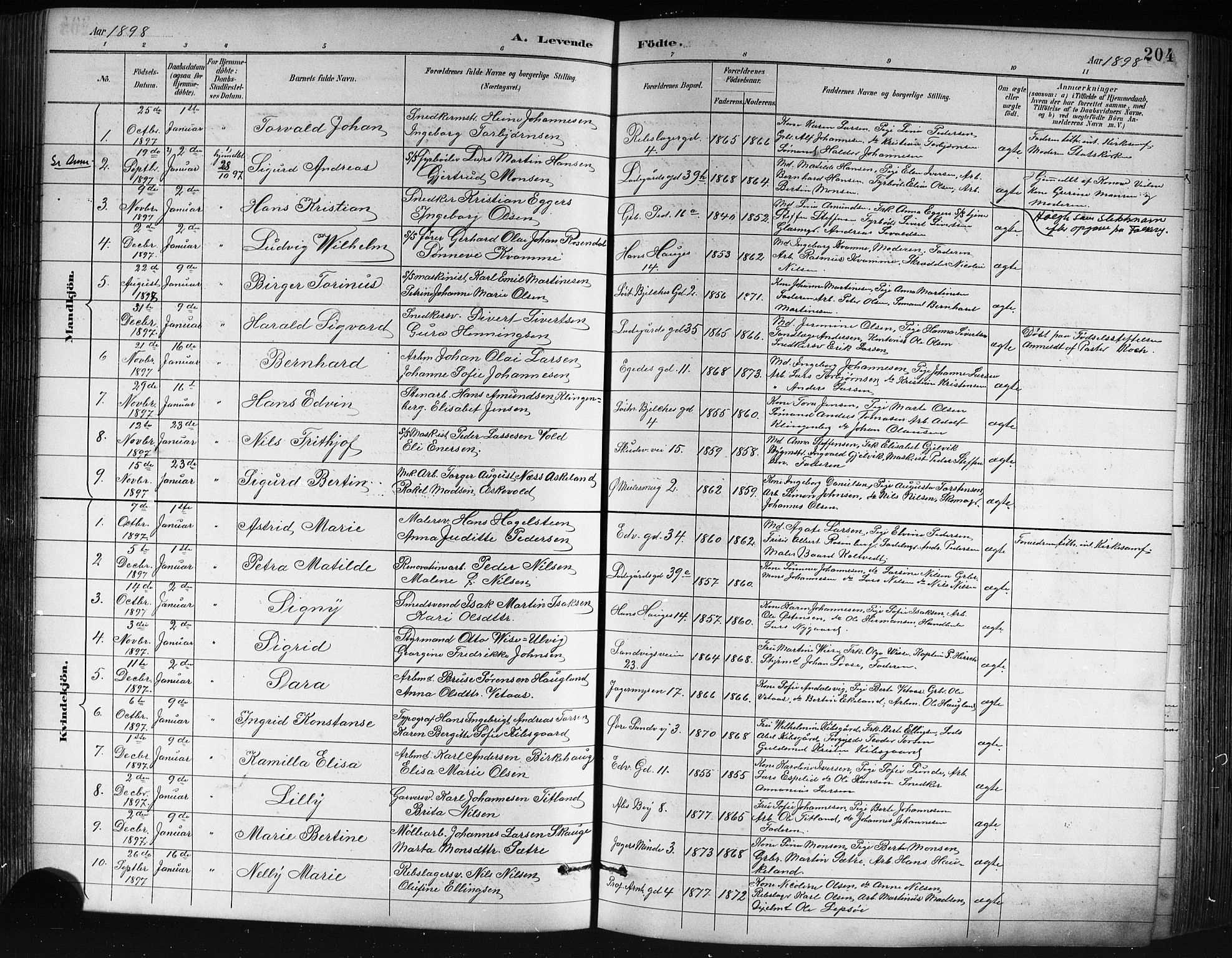 Sandviken Sokneprestembete, SAB/A-77601/H/Hb/L0002: Parish register (copy) no. A 3, 1888-1902, p. 204
