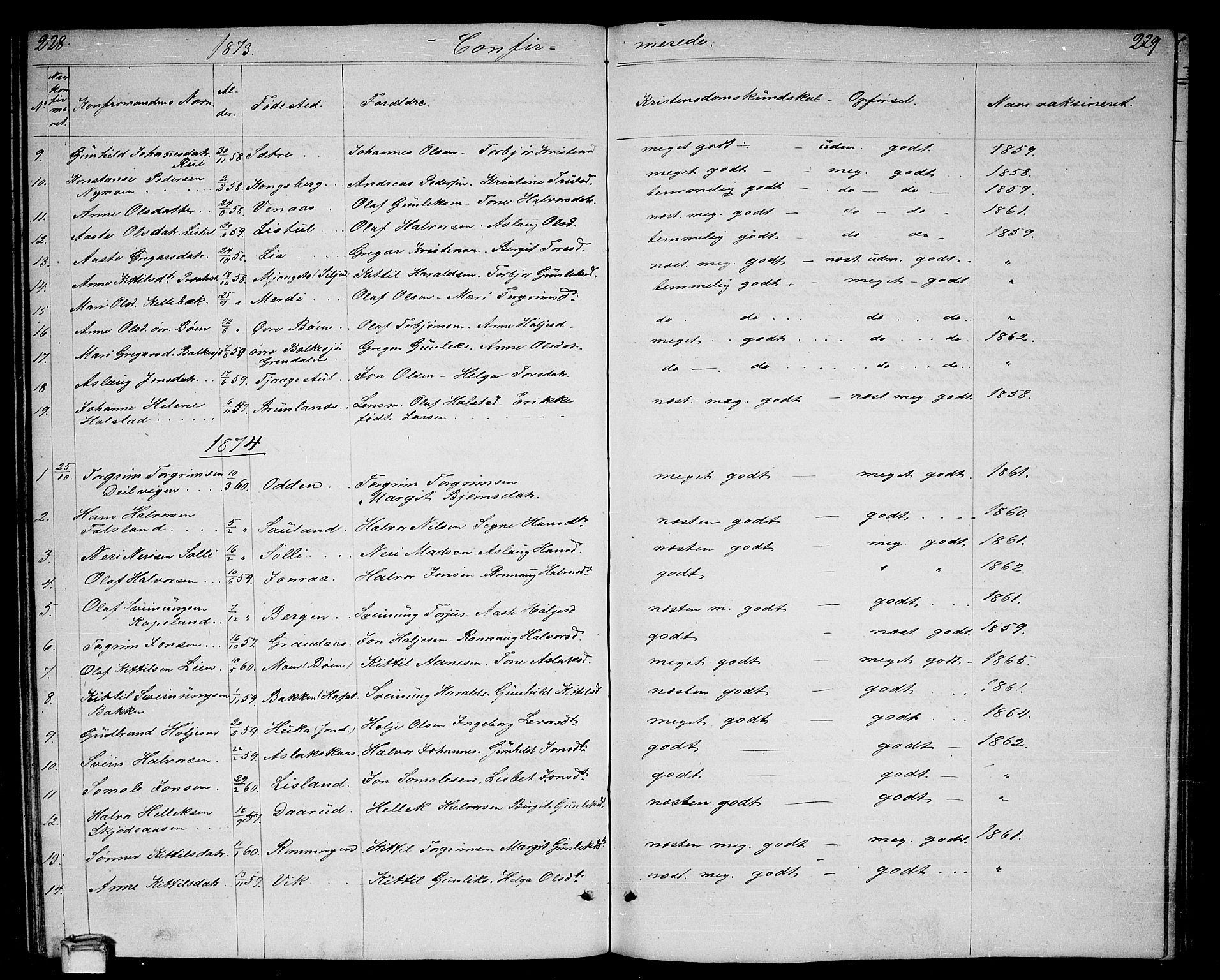 Gransherad kirkebøker, SAKO/A-267/G/Ga/L0002: Parish register (copy) no. I 2, 1854-1886, p. 228-229
