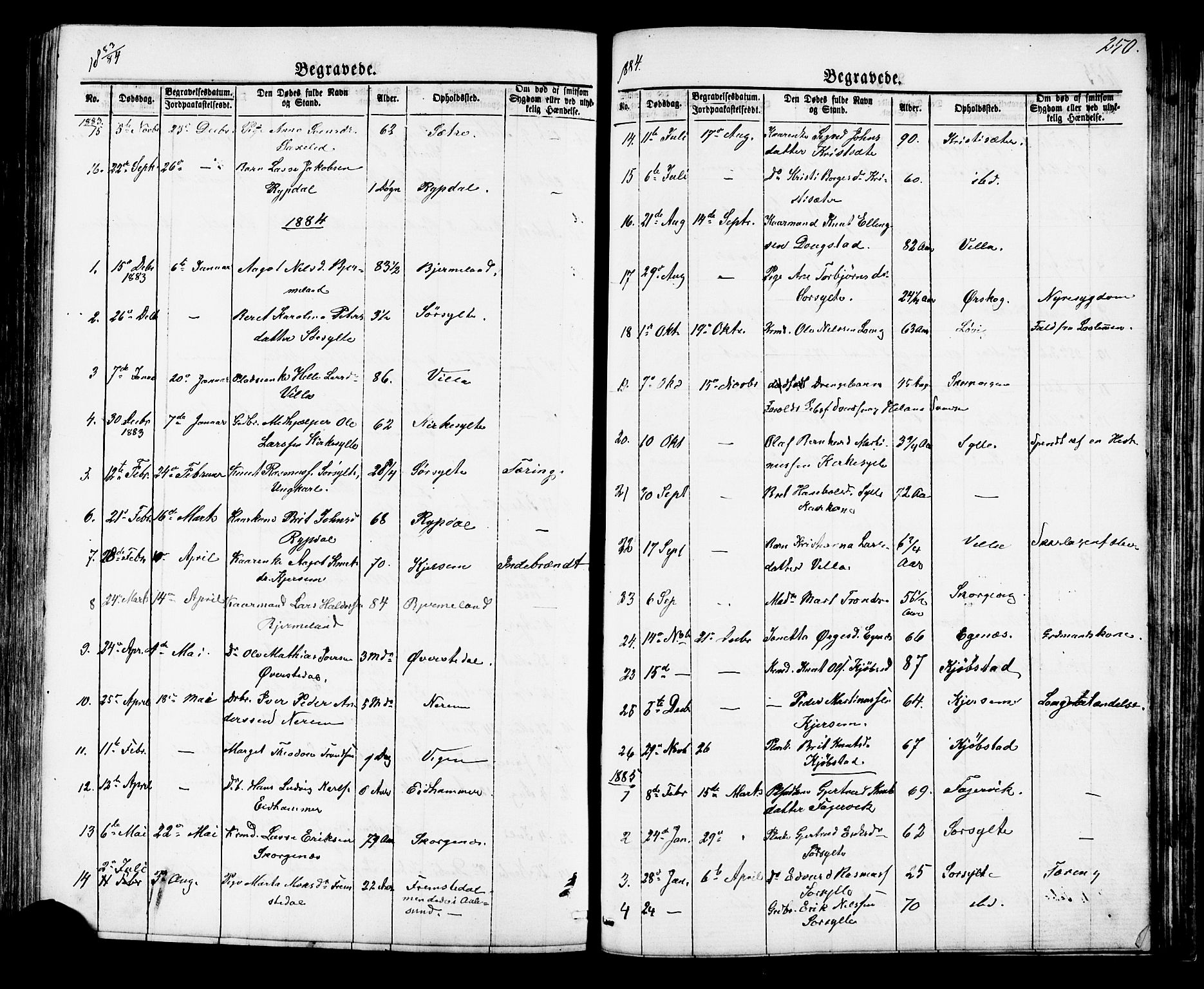 Ministerialprotokoller, klokkerbøker og fødselsregistre - Møre og Romsdal, SAT/A-1454/541/L0547: Parish register (copy) no. 541C02, 1867-1921, p. 250