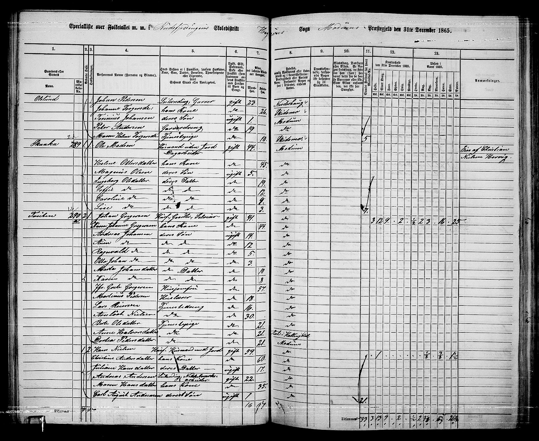 RA, 1865 census for Modum, 1865, p. 101