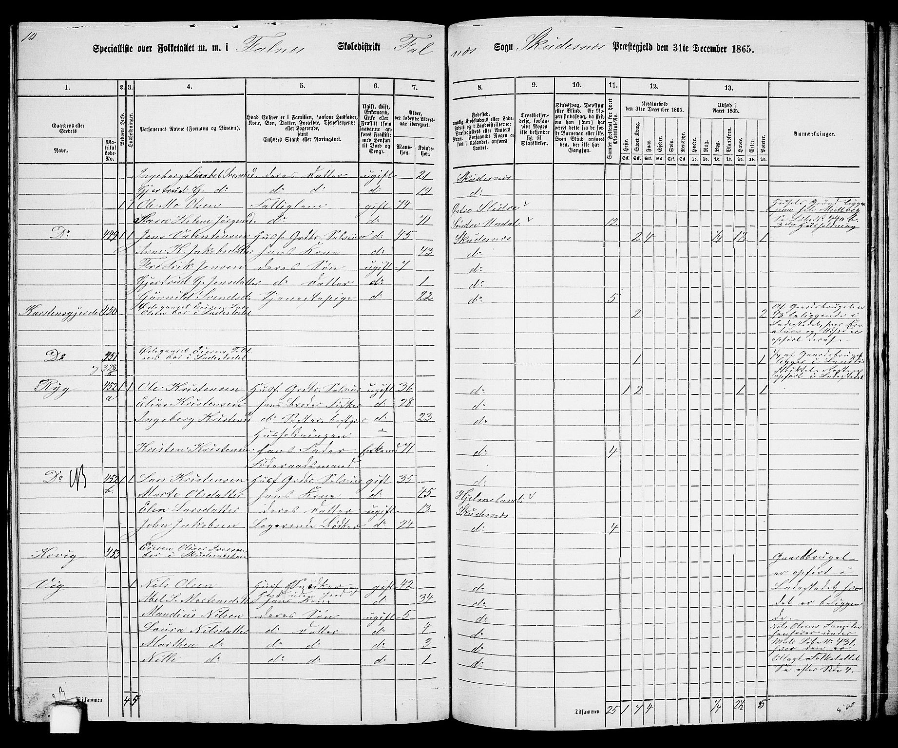 RA, 1865 census for Skudenes, 1865, p. 176