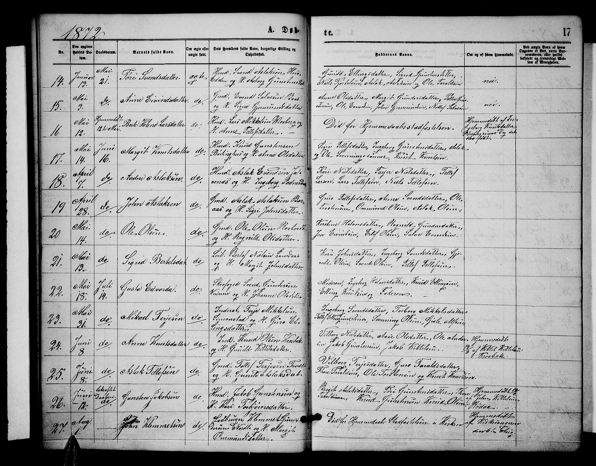 Åmli sokneprestkontor, AV/SAK-1111-0050/F/Fb/Fbc/L0003: Parish register (copy) no. B 3, 1868-1888, p. 17