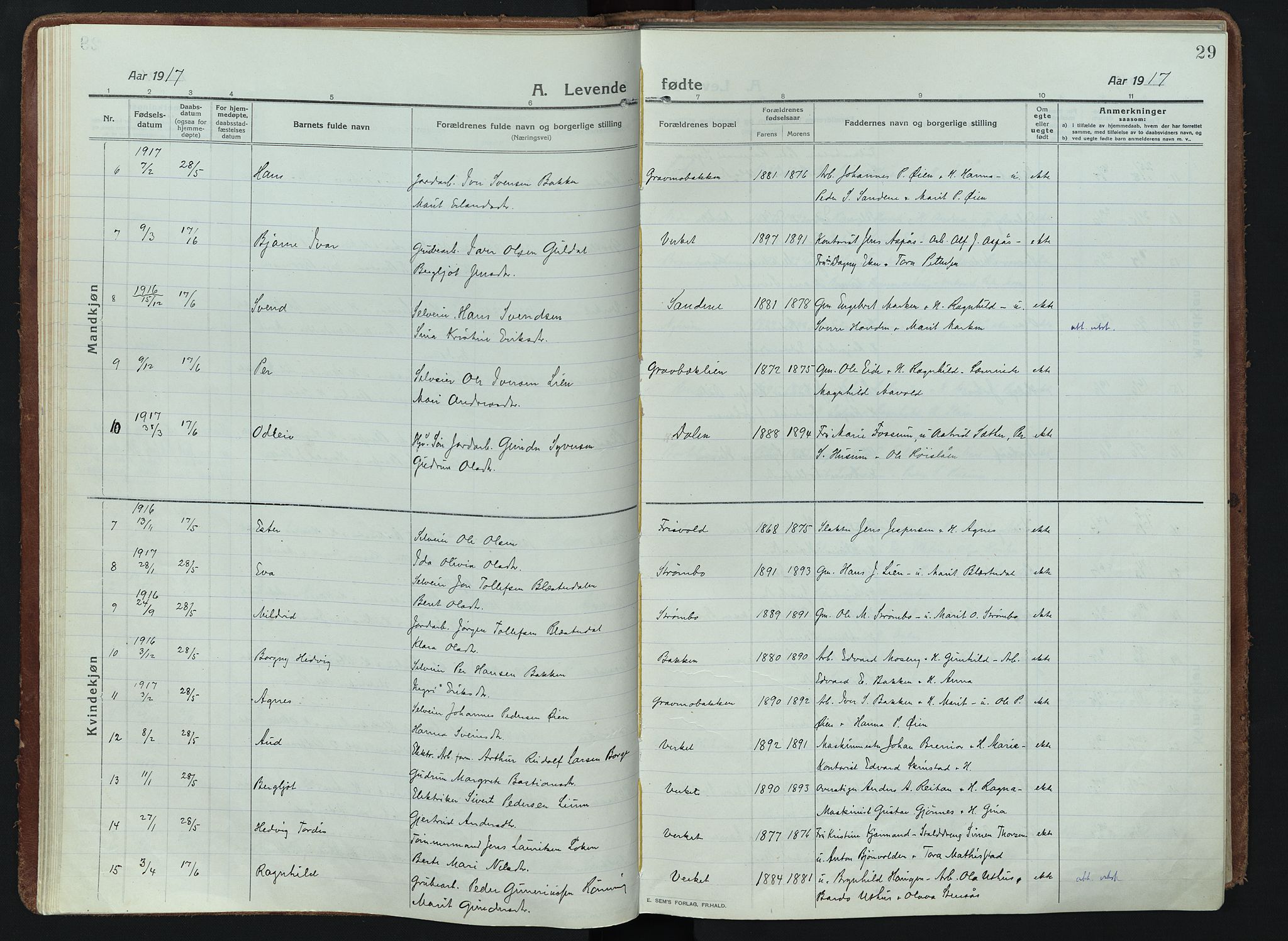 Alvdal prestekontor, AV/SAH-PREST-060/H/Ha/Haa/L0005: Parish register (official) no. 5, 1913-1930, p. 29