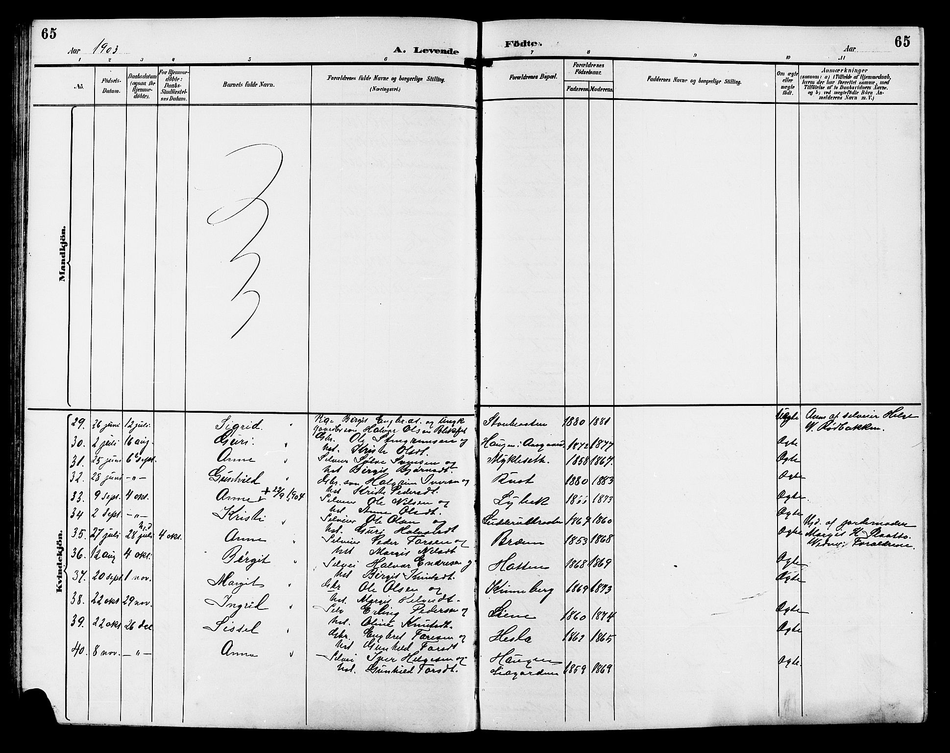 Gol kirkebøker, SAKO/A-226/G/Ga/L0003: Parish register (copy) no. I 3, 1887-1914, p. 65