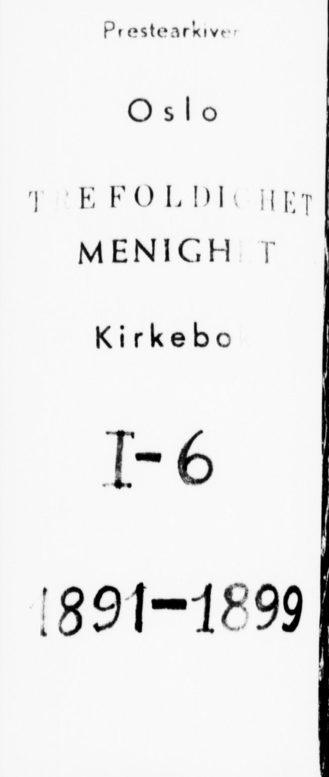 Trefoldighet prestekontor Kirkebøker, AV/SAO-A-10882/F/Fa/L0006: Parish register (official) no. I 6, 1891-1899