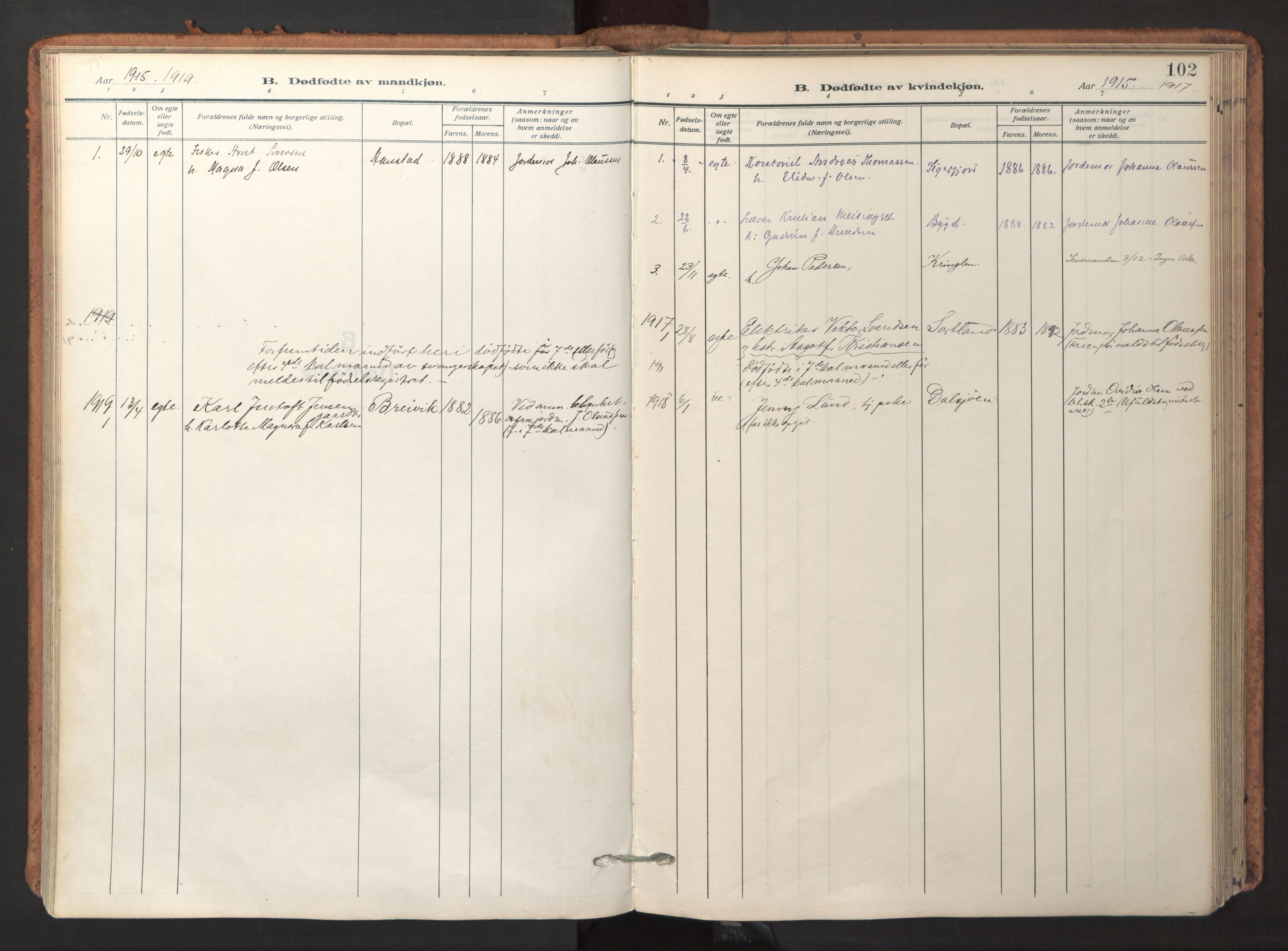 Ministerialprotokoller, klokkerbøker og fødselsregistre - Nordland, AV/SAT-A-1459/895/L1374: Parish register (official) no. 895A09, 1915-1925, p. 102