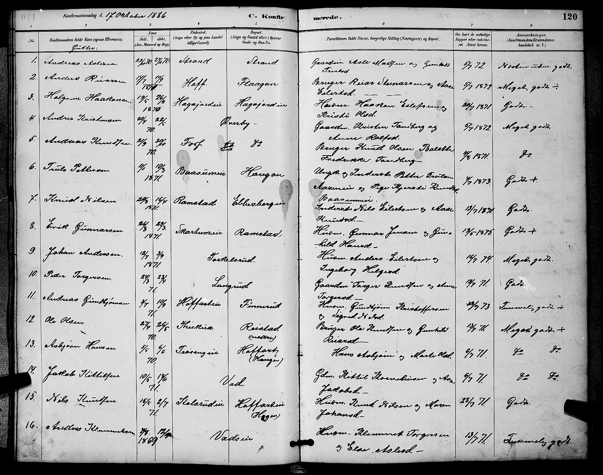 Sigdal kirkebøker, SAKO/A-245/G/Ga/L0005: Parish register (copy) no. I 5, 1886-1900, p. 120