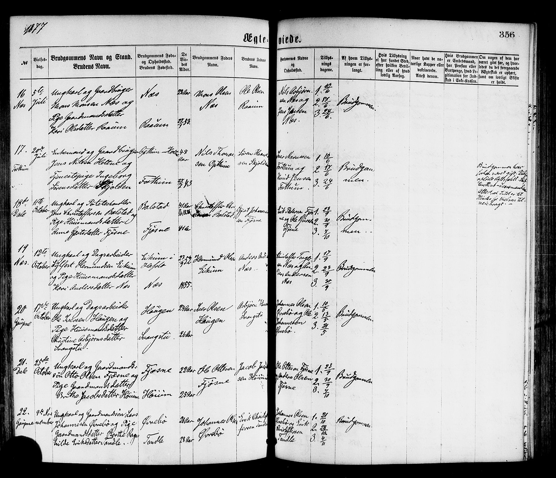 Luster sokneprestembete, AV/SAB-A-81101/H/Haa/Haaa/L0010: Parish register (official) no. A 10, 1871-1886, p. 356