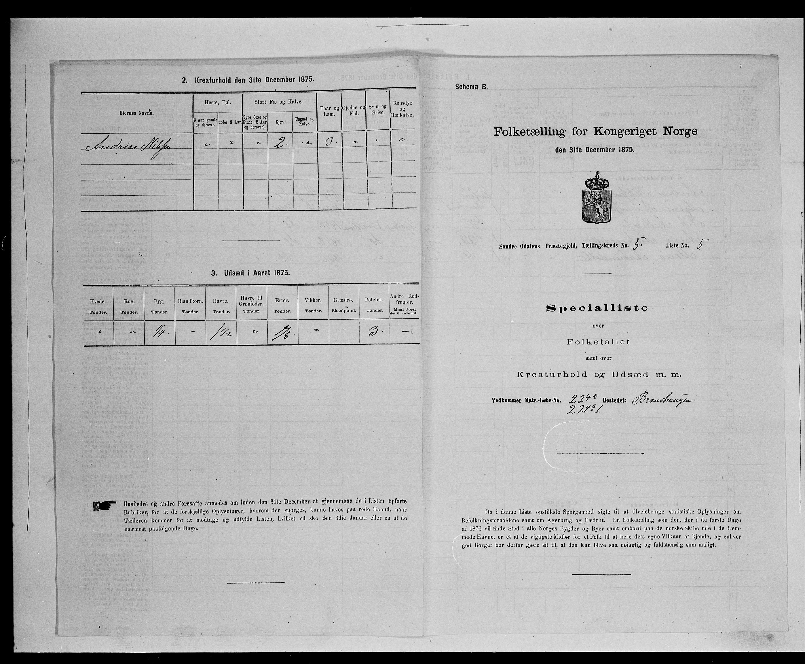 SAH, 1875 census for 0419P Sør-Odal, 1875, p. 496