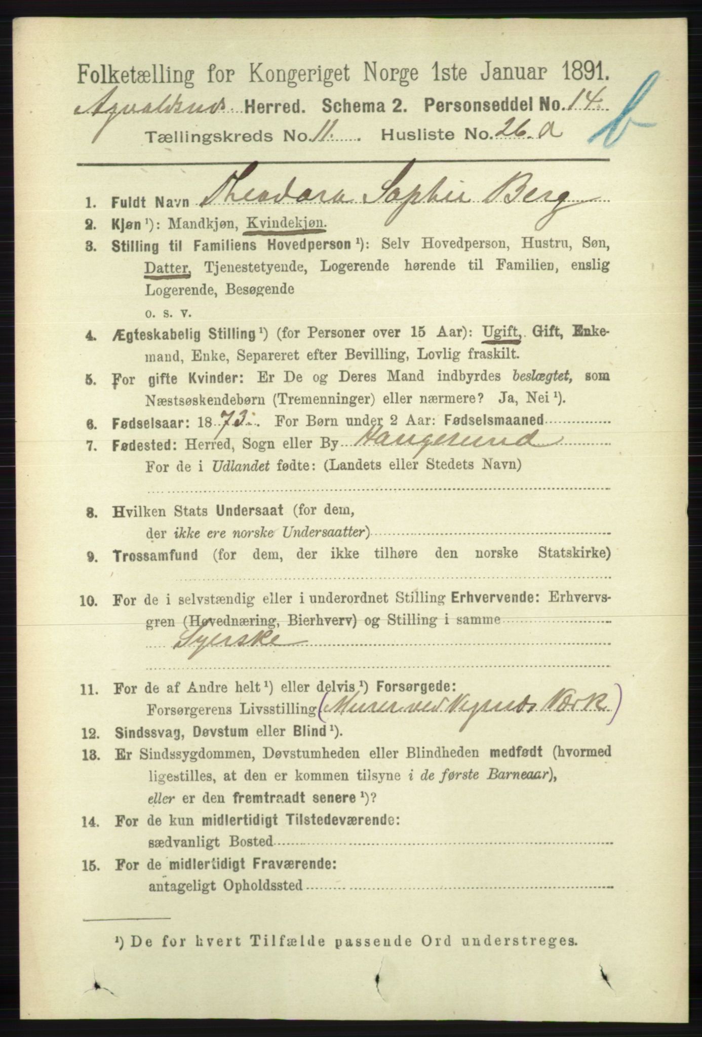 RA, 1891 census for 1147 Avaldsnes, 1891, p. 6462