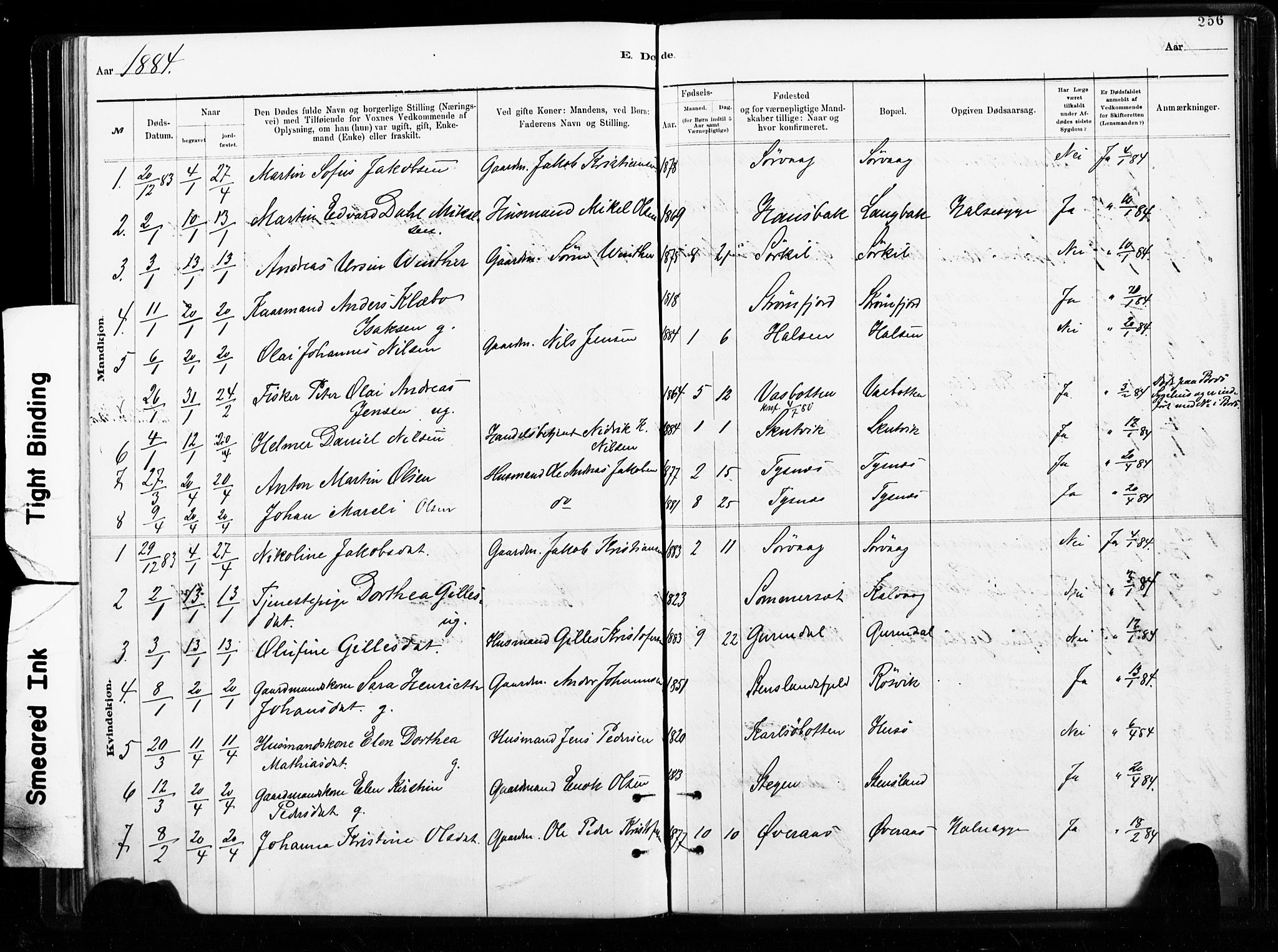 Ministerialprotokoller, klokkerbøker og fødselsregistre - Nordland, SAT/A-1459/859/L0846: Parish register (official) no. 859A06, 1878-1889, p. 256