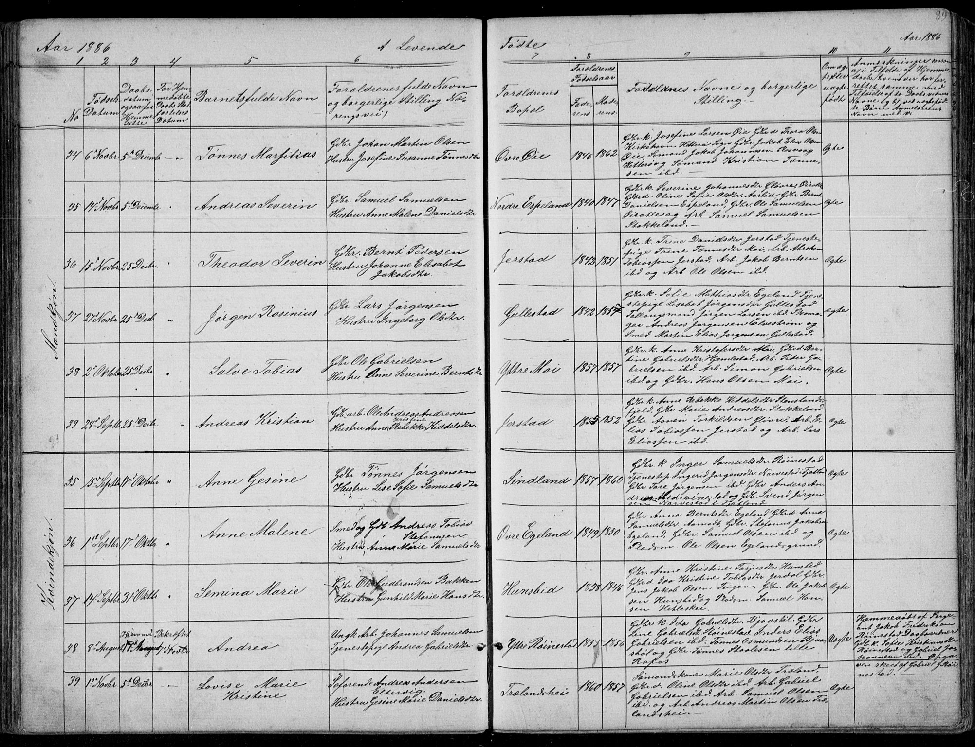 Kvinesdal sokneprestkontor, AV/SAK-1111-0026/F/Fb/Fbb/L0002: Parish register (copy) no. B 2, 1873-1897, p. 89