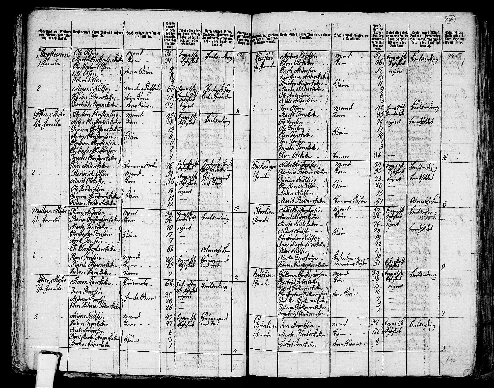 RA, 1801 census for 1718P Leksvik, 1801, p. 164b-165a