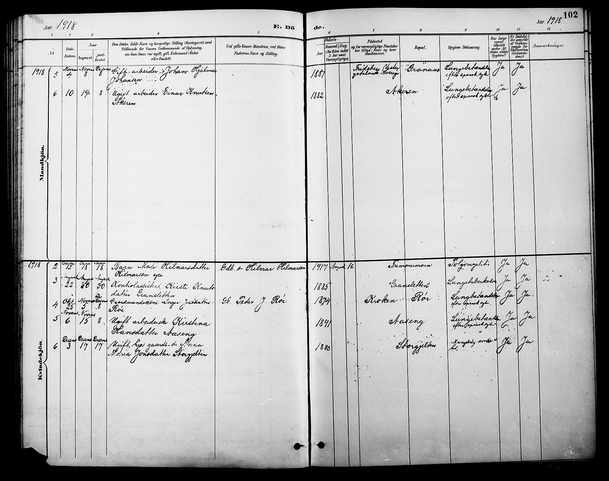 Tolga prestekontor, SAH/PREST-062/L/L0010: Parish register (copy) no. 10, 1894-1918, p. 102
