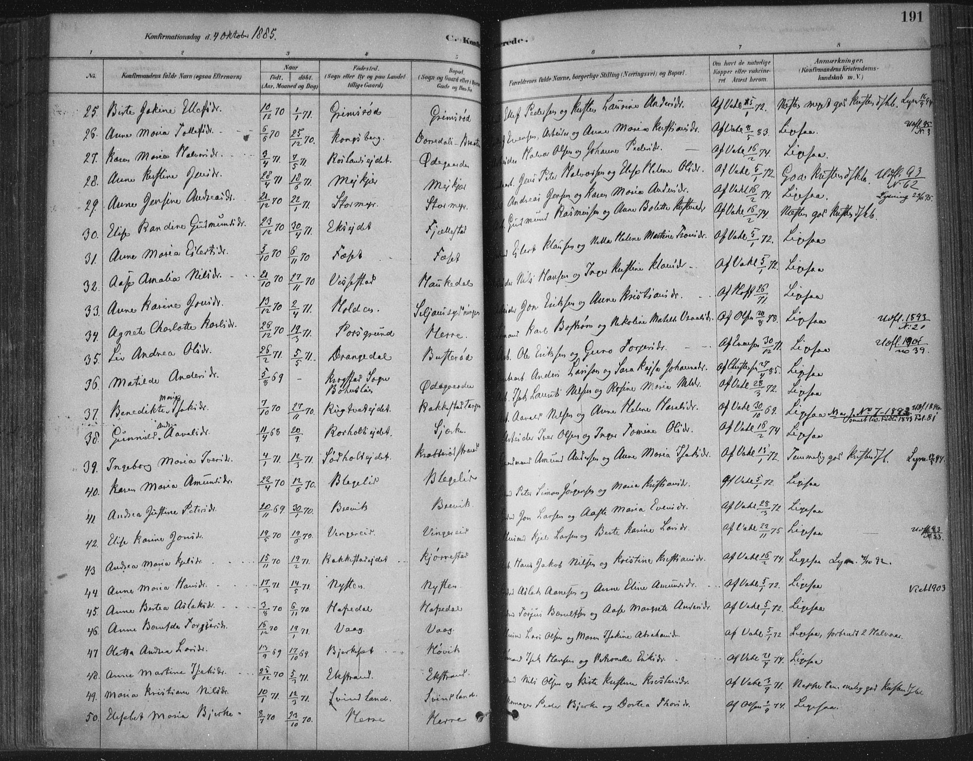 Bamble kirkebøker, SAKO/A-253/F/Fa/L0007: Parish register (official) no. I 7, 1878-1888, p. 191