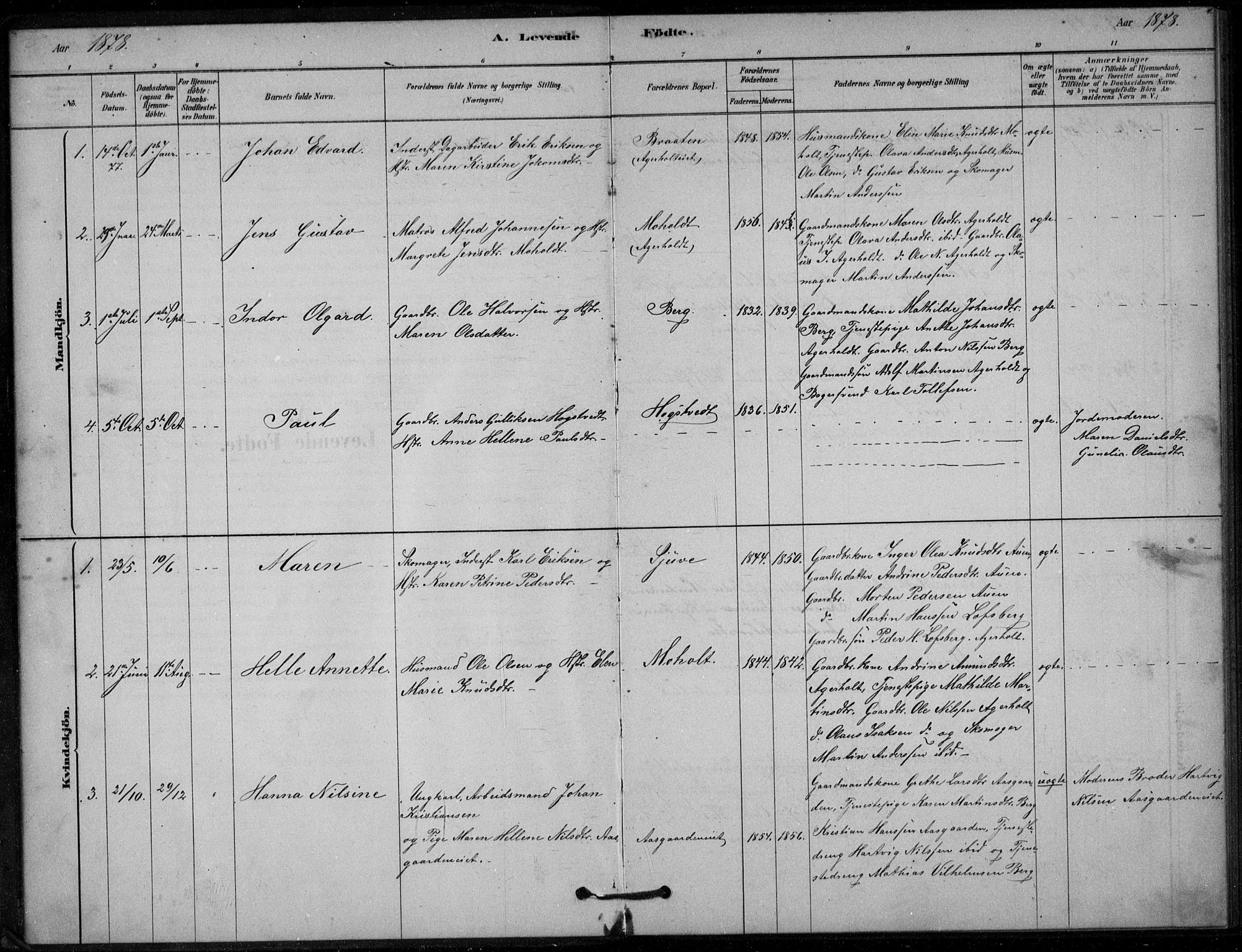 Hof kirkebøker, SAKO/A-64/G/Gb/L0002: Parish register (copy) no. II 2, 1878-1902, p. 4