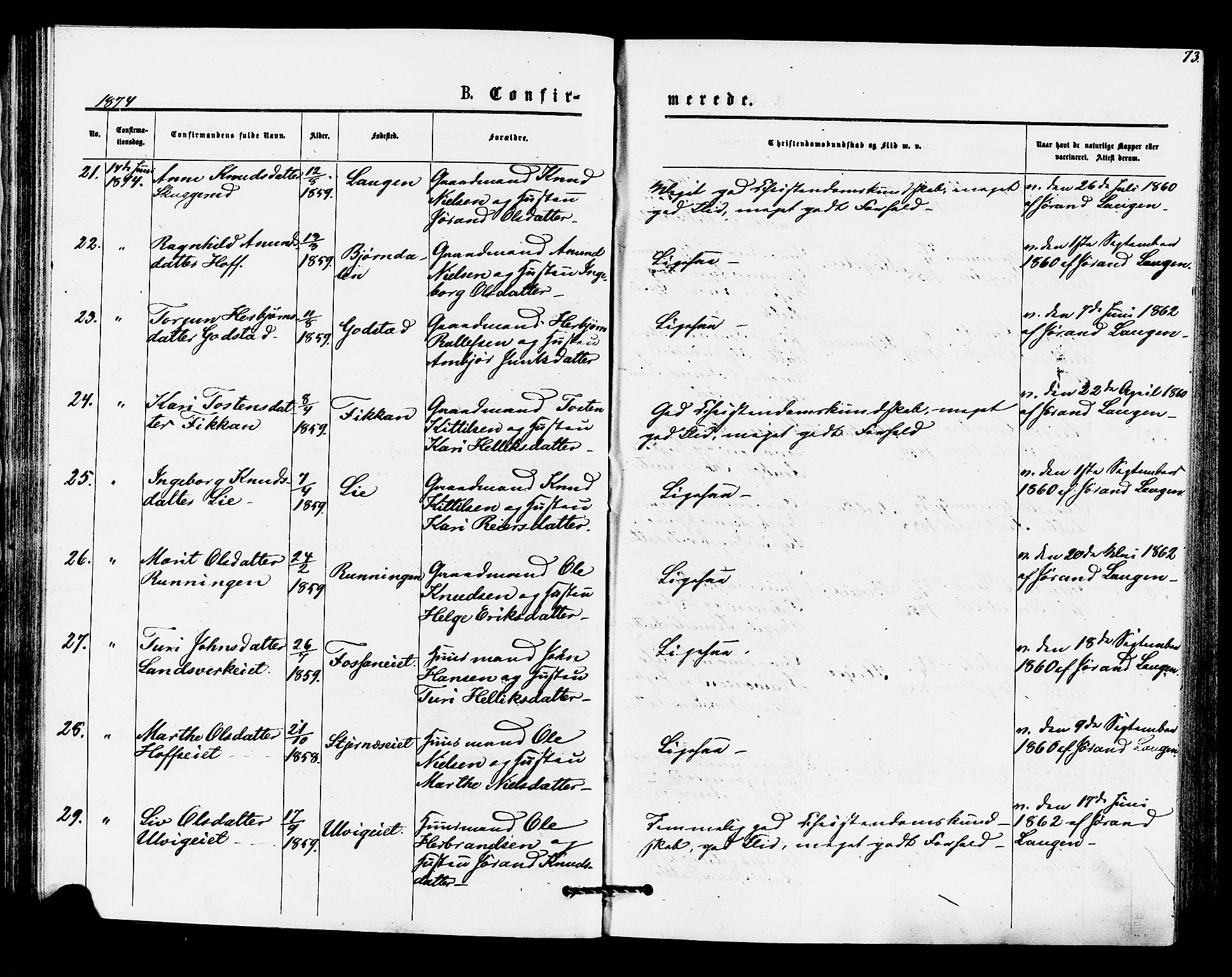 Rollag kirkebøker, AV/SAKO-A-240/F/Fa/L0010: Parish register (official) no. I 10, 1874-1877, p. 73