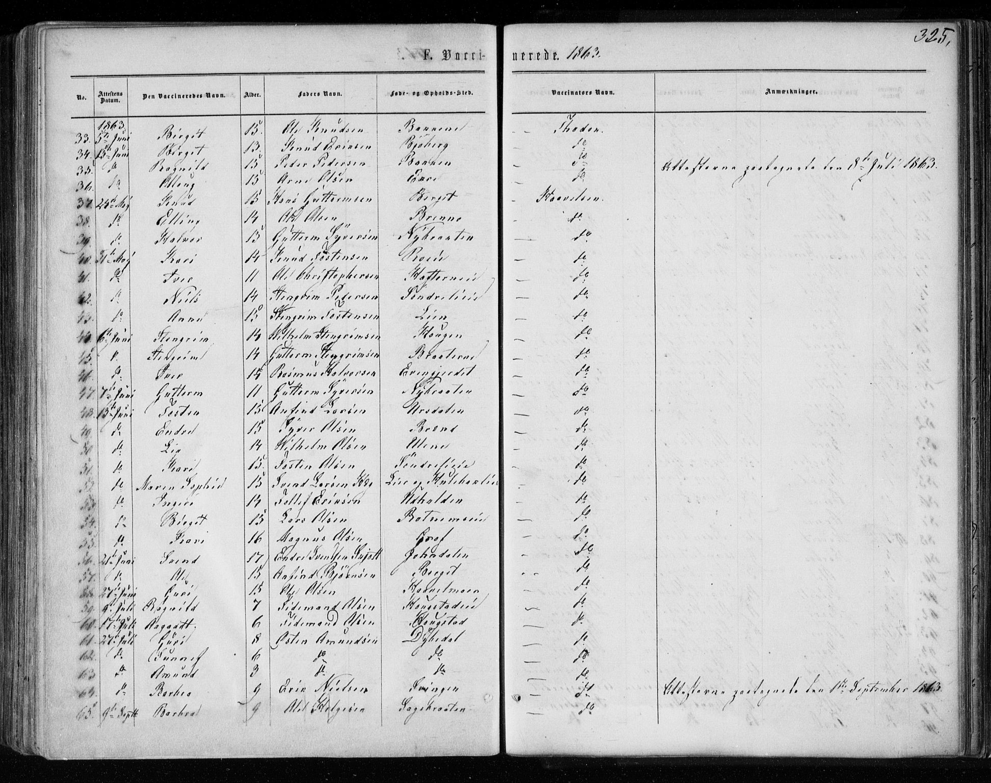 Gol kirkebøker, AV/SAKO-A-226/F/Fa/L0003: Parish register (official) no. I 3, 1863-1875, p. 325