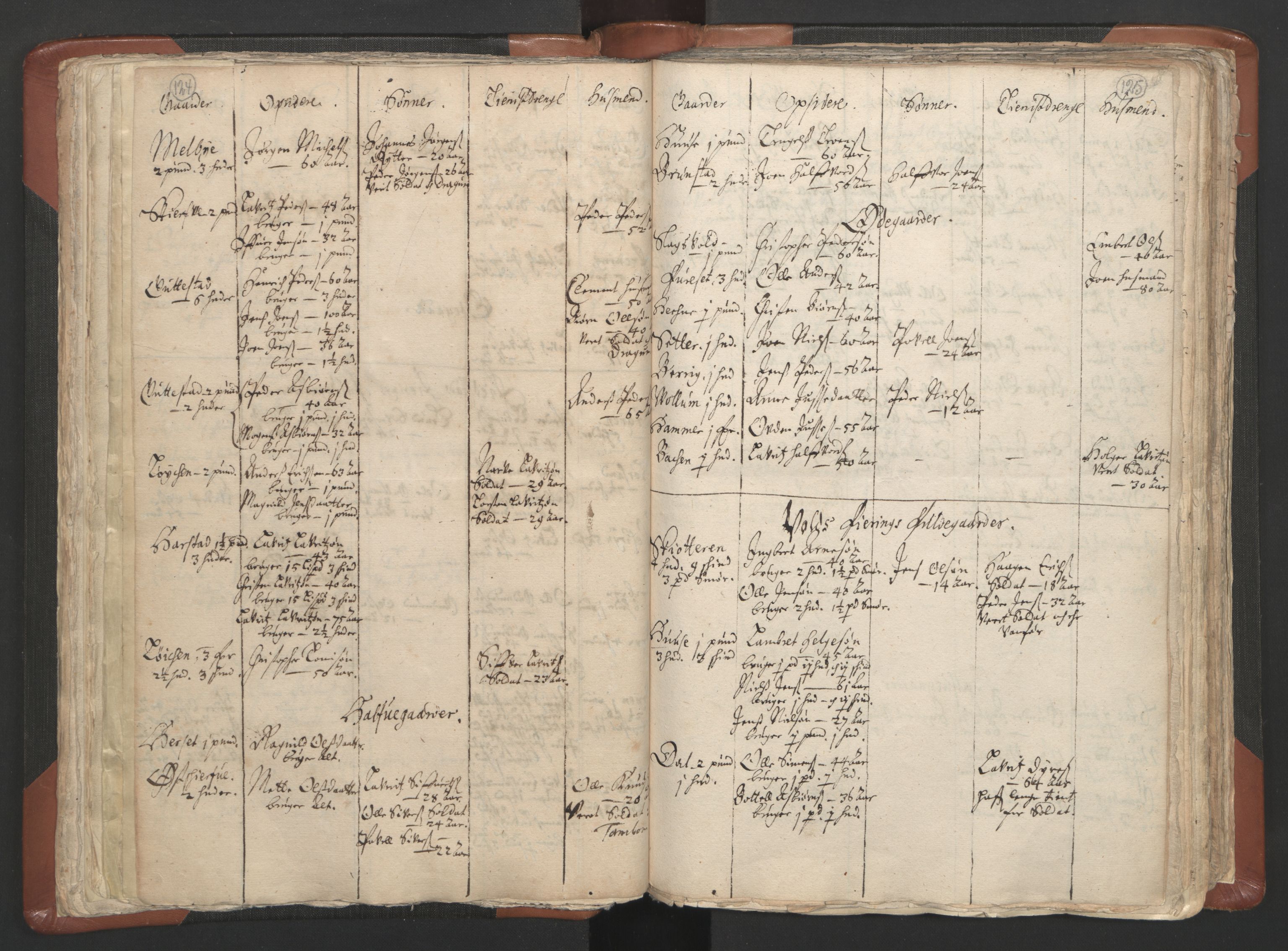 RA, Vicar's Census 1664-1666, no. 5: Hedmark deanery, 1664-1666, p. 124-125
