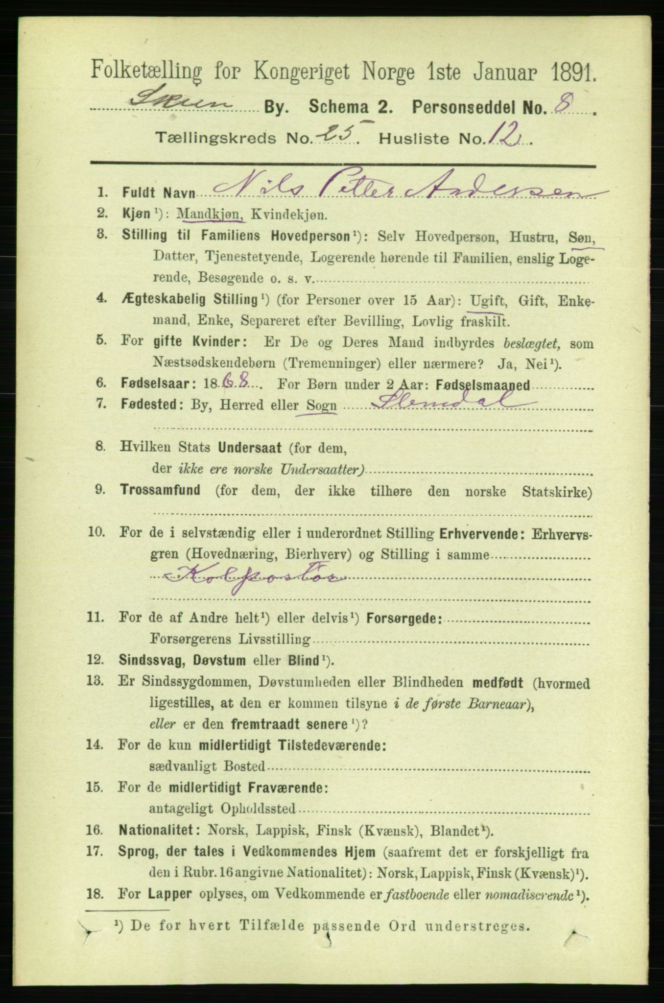 RA, 1891 census for 0806 Skien, 1891, p. 6125