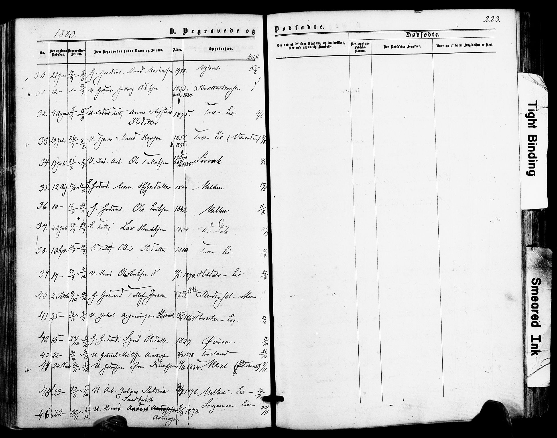 Froland sokneprestkontor, AV/SAK-1111-0013/F/Fa/L0003: Parish register (official) no. A 3, 1864-1881, p. 223