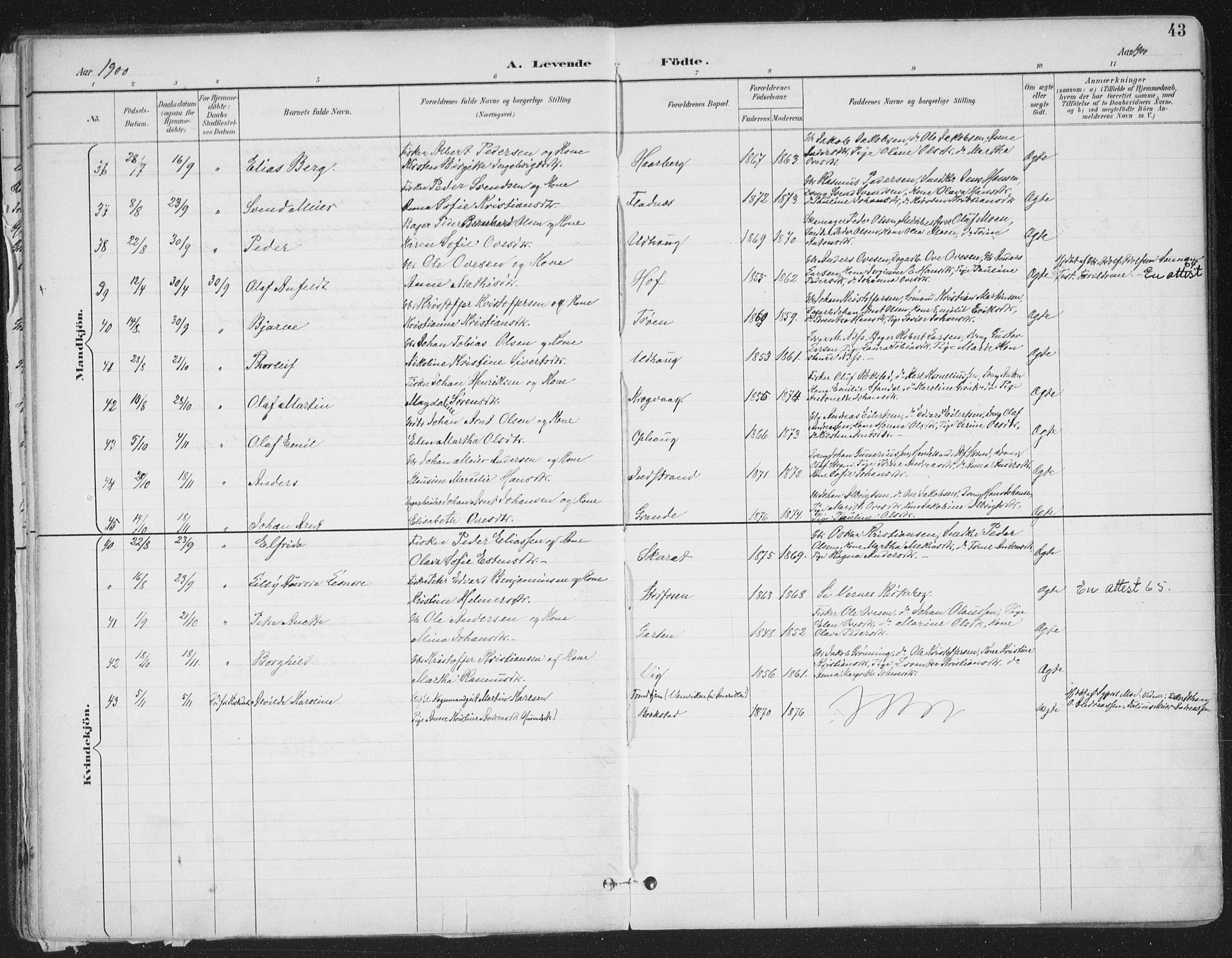 Ministerialprotokoller, klokkerbøker og fødselsregistre - Sør-Trøndelag, SAT/A-1456/659/L0743: Parish register (official) no. 659A13, 1893-1910, p. 43