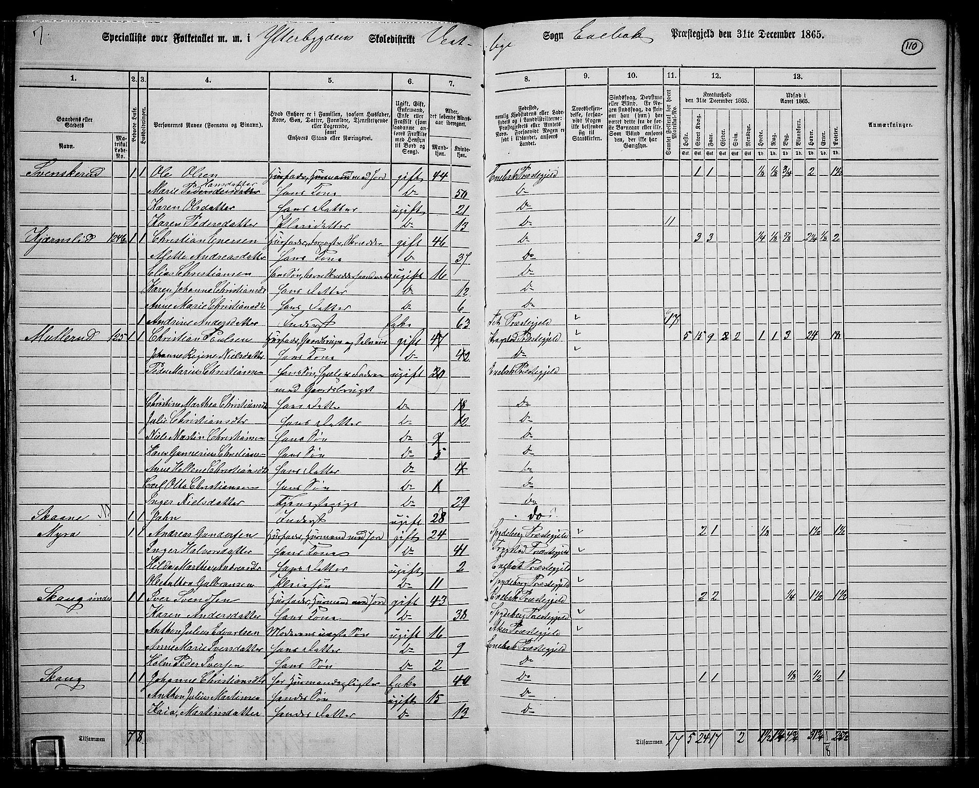 RA, 1865 census for Enebakk, 1865, p. 96