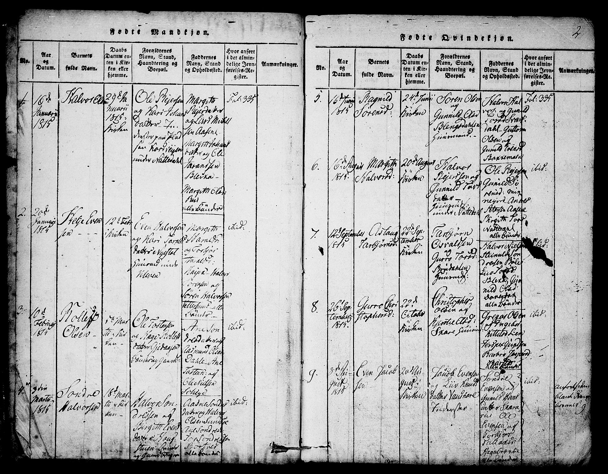 Seljord kirkebøker, SAKO/A-20/F/Fb/L0001: Parish register (official) no. II 1, 1815-1831, p. 2
