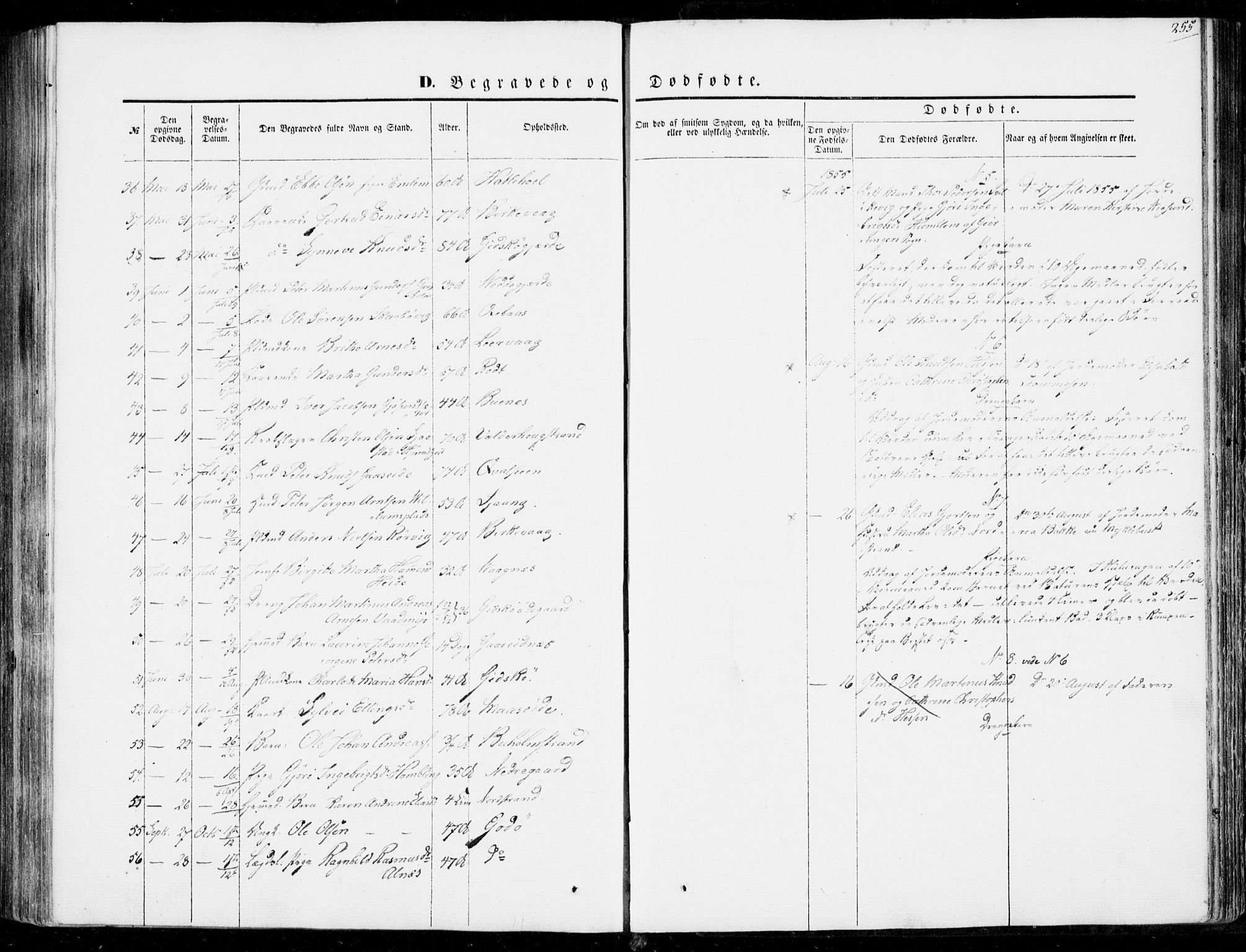 Ministerialprotokoller, klokkerbøker og fødselsregistre - Møre og Romsdal, AV/SAT-A-1454/528/L0397: Parish register (official) no. 528A08, 1848-1858, p. 255