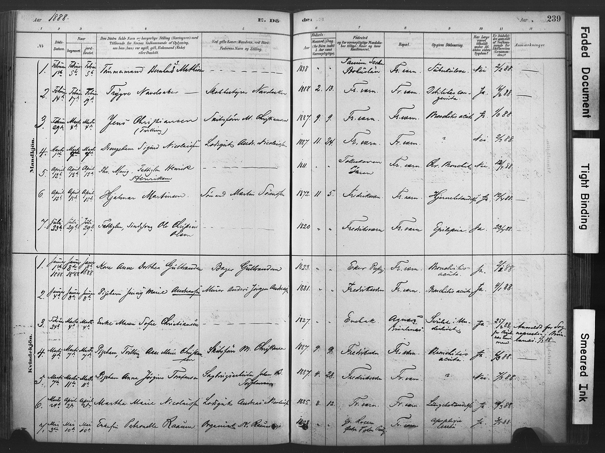 Stavern kirkebøker, SAKO/A-318/F/Fa/L0008: Parish register (official) no. 8, 1878-1905, p. 239