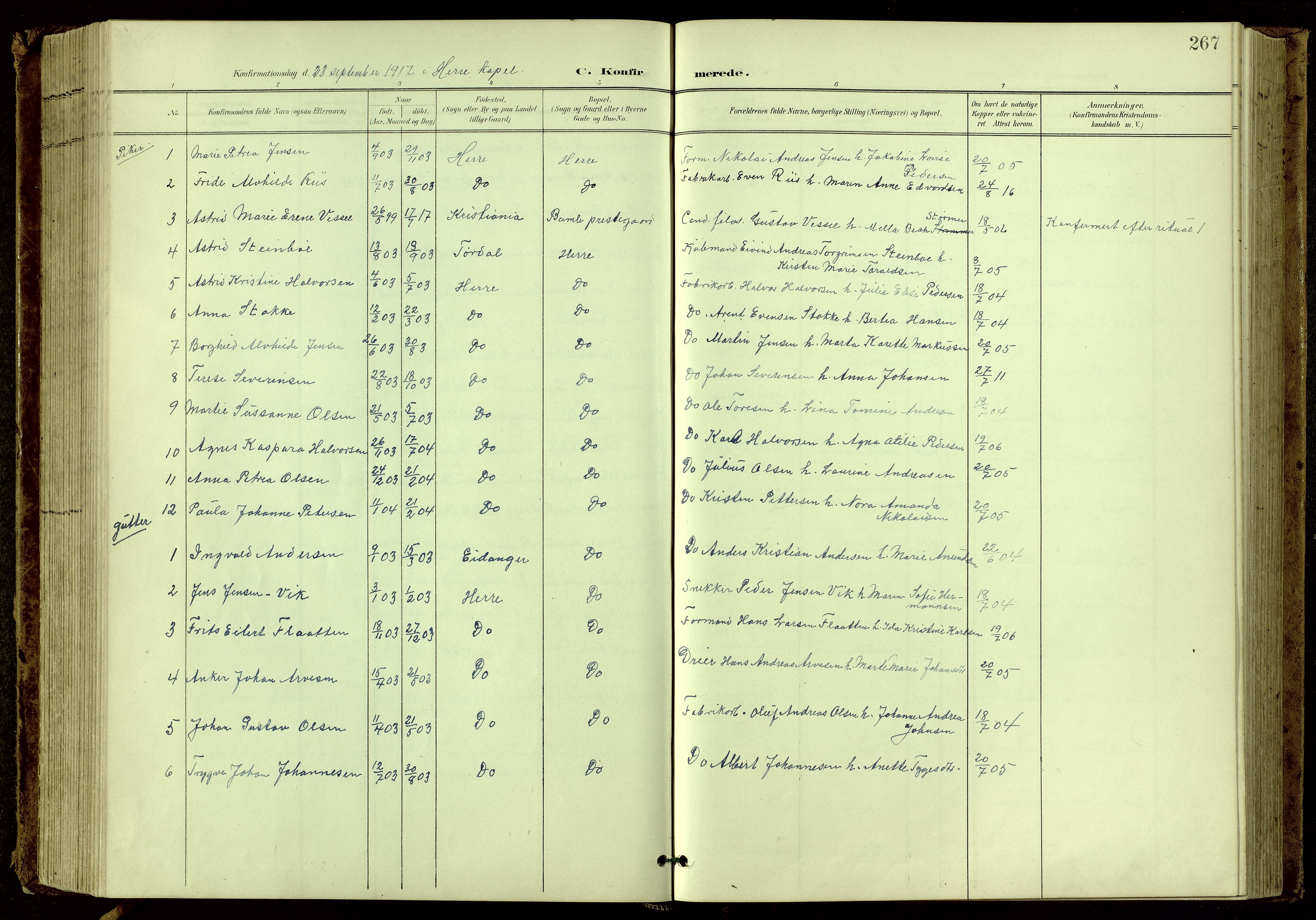Bamble kirkebøker, SAKO/A-253/G/Ga/L0010: Parish register (copy) no. I 10, 1901-1919, p. 267