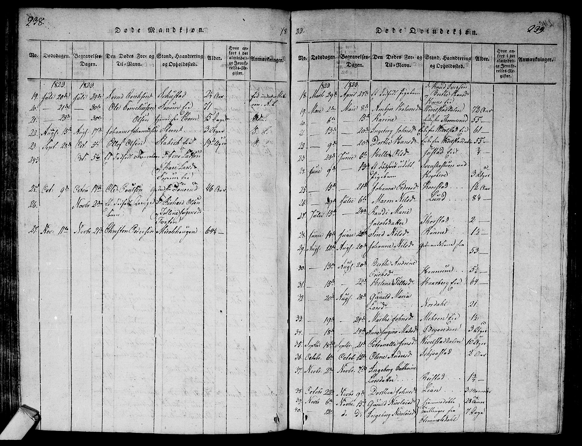 Lier kirkebøker, AV/SAKO-A-230/G/Ga/L0001: Parish register (copy) no. I 1, 1813-1824, p. 238-239