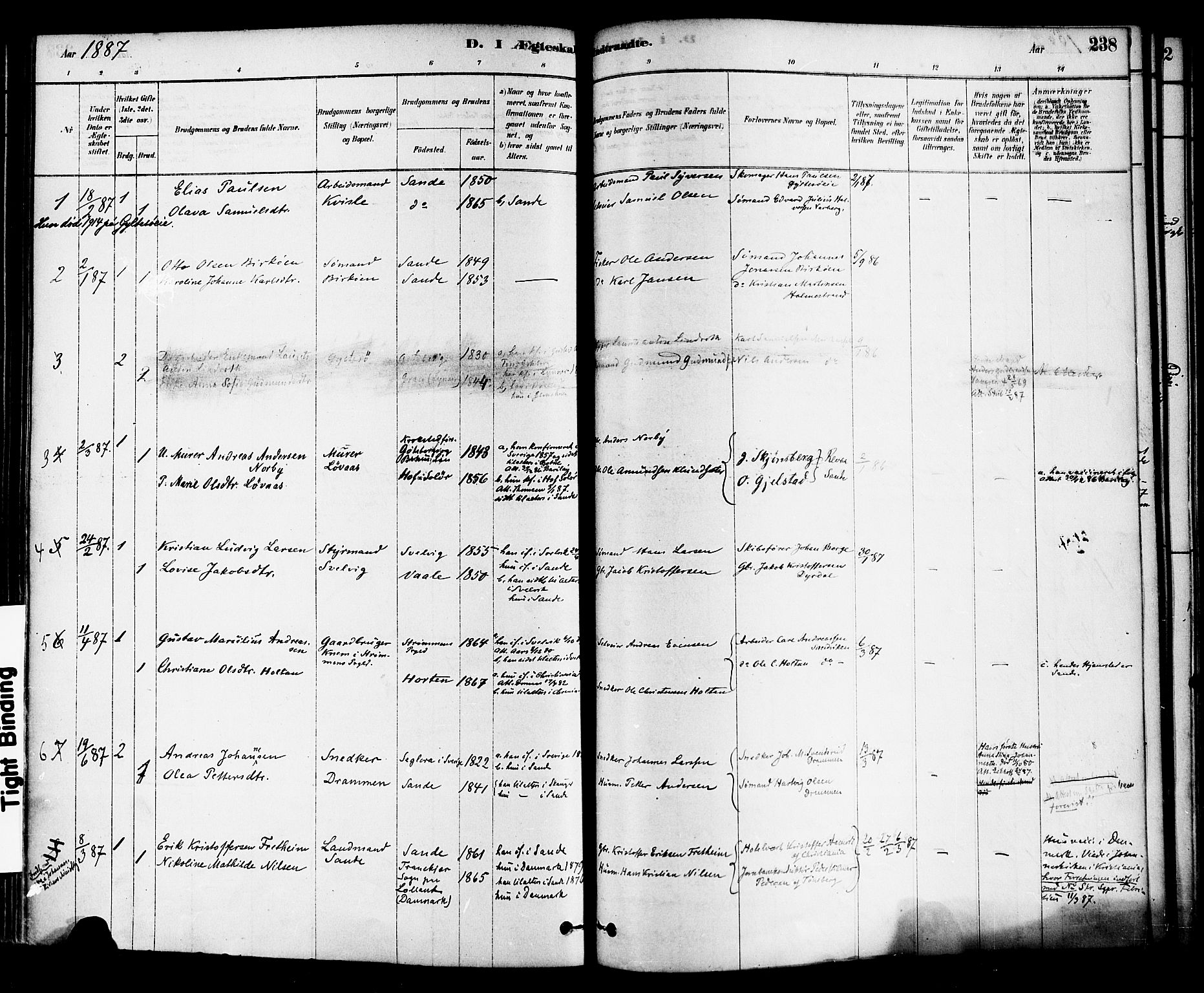 Sande Kirkebøker, AV/SAKO-A-53/F/Fa/L0006: Parish register (official) no. 6, 1878-1888, p. 238