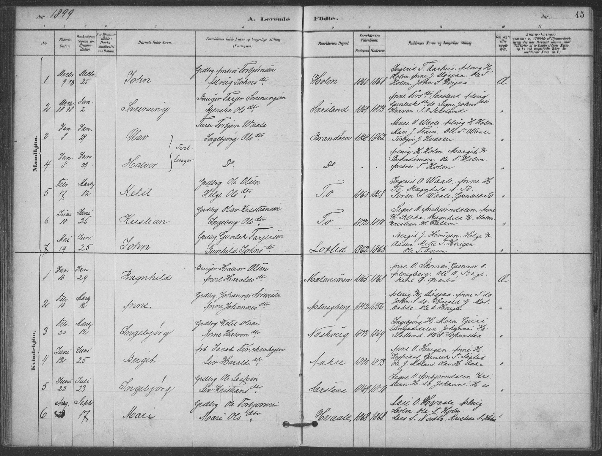 Hjartdal kirkebøker, SAKO/A-270/F/Fa/L0010: Parish register (official) no. I 10, 1880-1929, p. 45