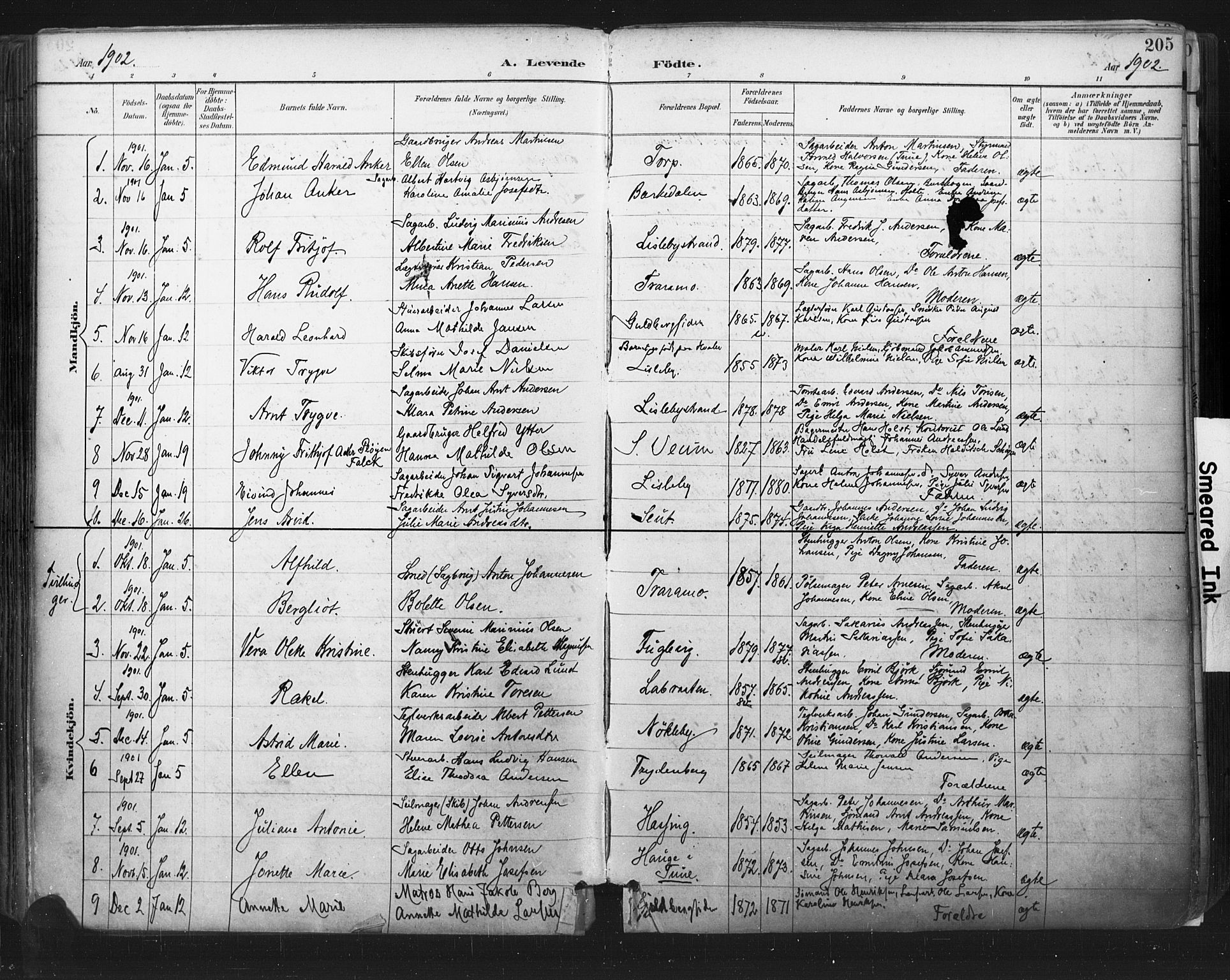 Glemmen prestekontor Kirkebøker, SAO/A-10908/F/Fa/L0013: Parish register (official) no. 13, 1892-1907, p. 205