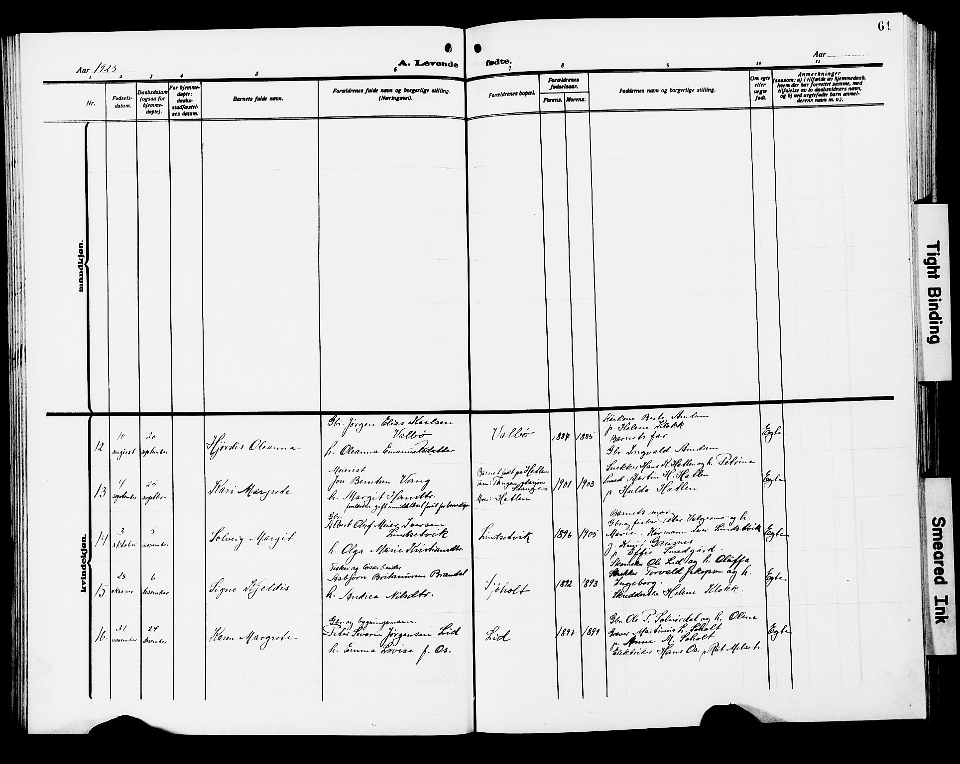 Ministerialprotokoller, klokkerbøker og fødselsregistre - Møre og Romsdal, AV/SAT-A-1454/522/L0328: Parish register (copy) no. 522C07, 1909-1925, p. 61