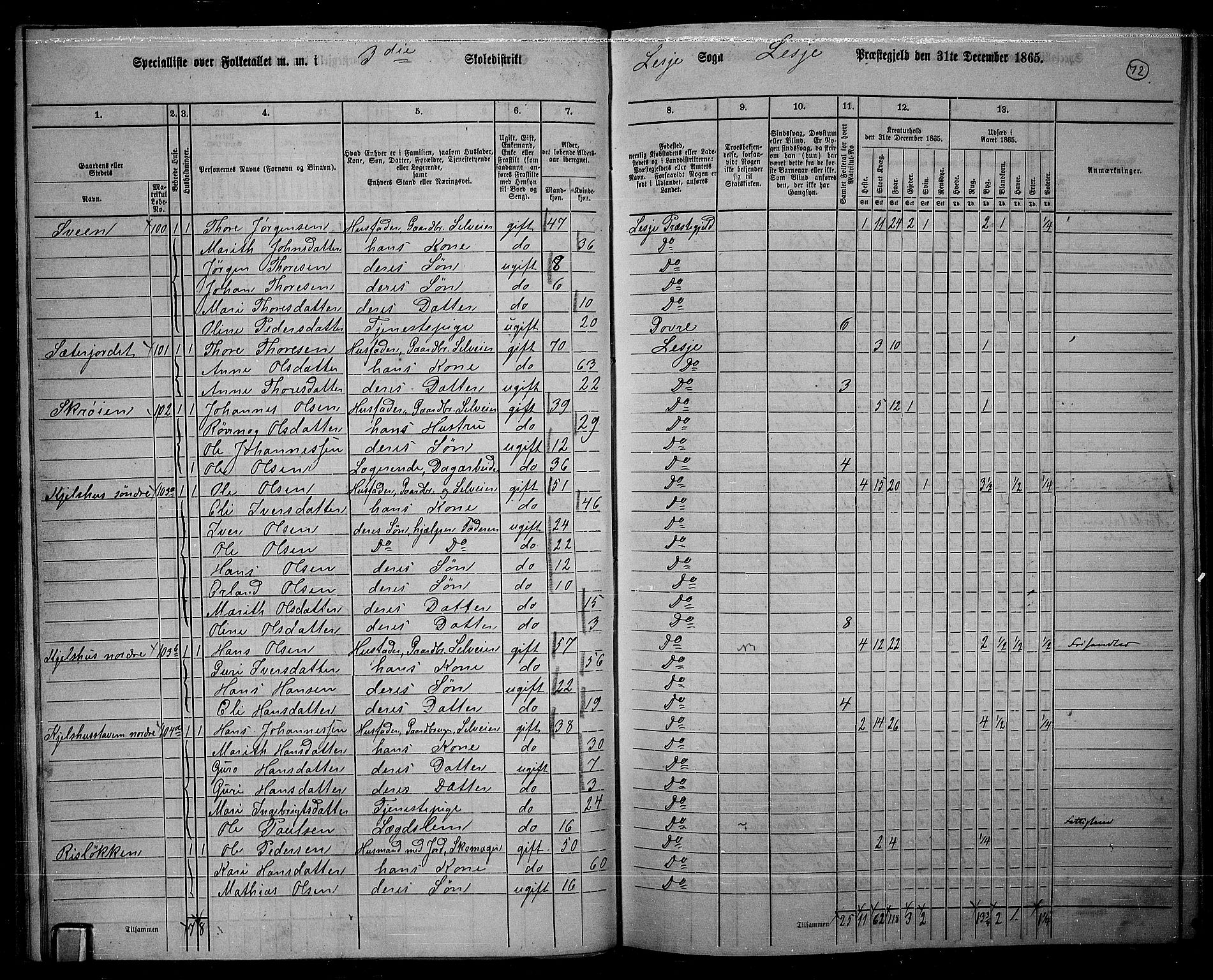 RA, 1865 census for Lesja, 1865, p. 62