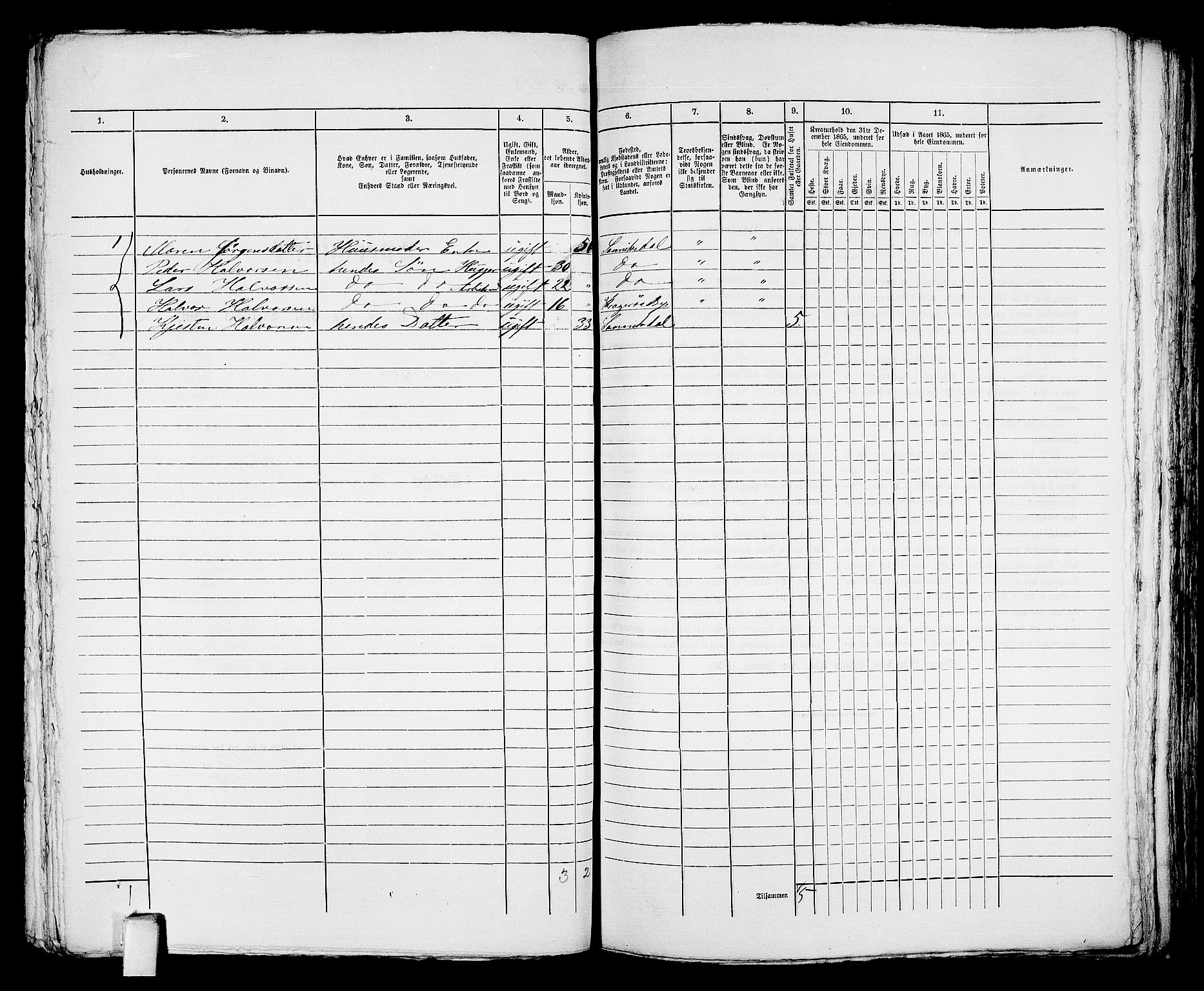 RA, 1865 census for Kragerø/Kragerø, 1865, p. 319