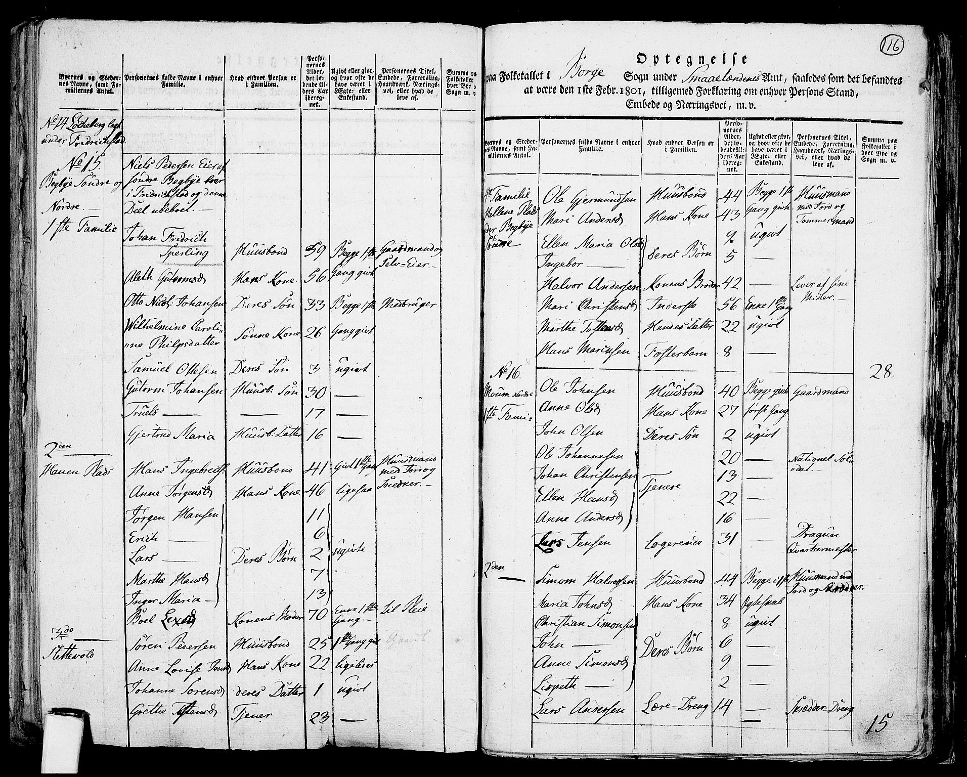 RA, 1801 census for 0113P Borge, 1801, p. 115b-116a