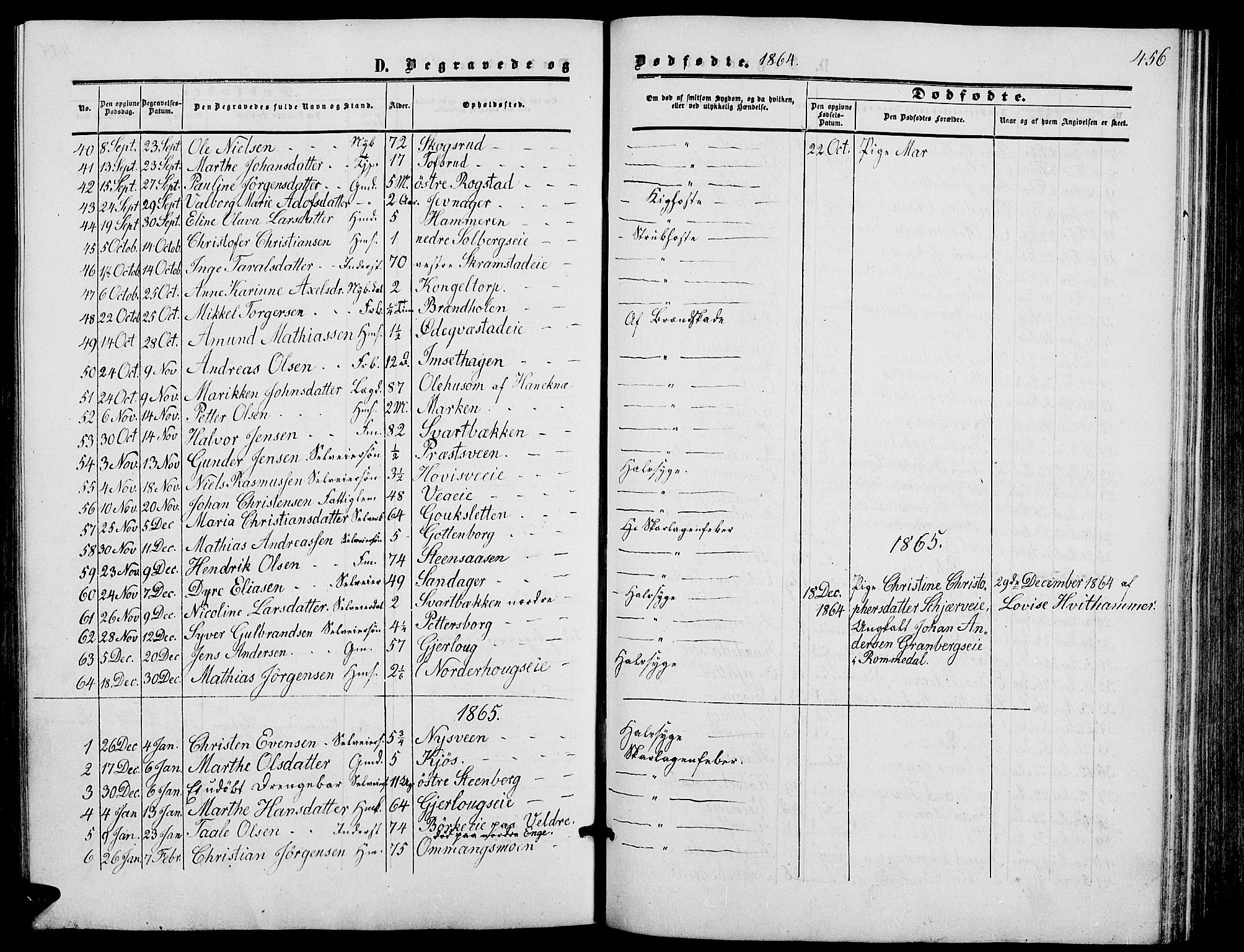 Løten prestekontor, SAH/PREST-022/L/La/L0004: Parish register (copy) no. 4, 1863-1877, p. 456