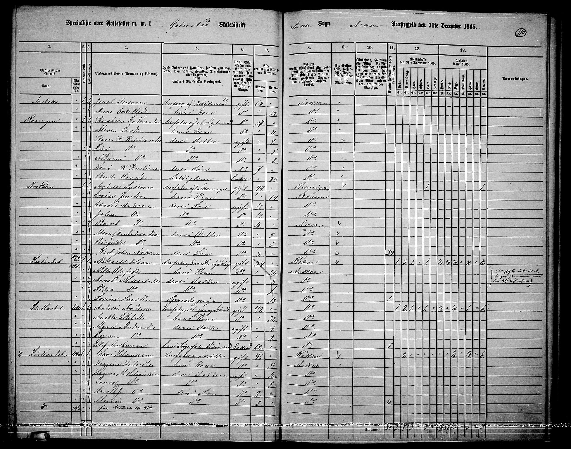 RA, 1865 census for Asker, 1865, p. 106