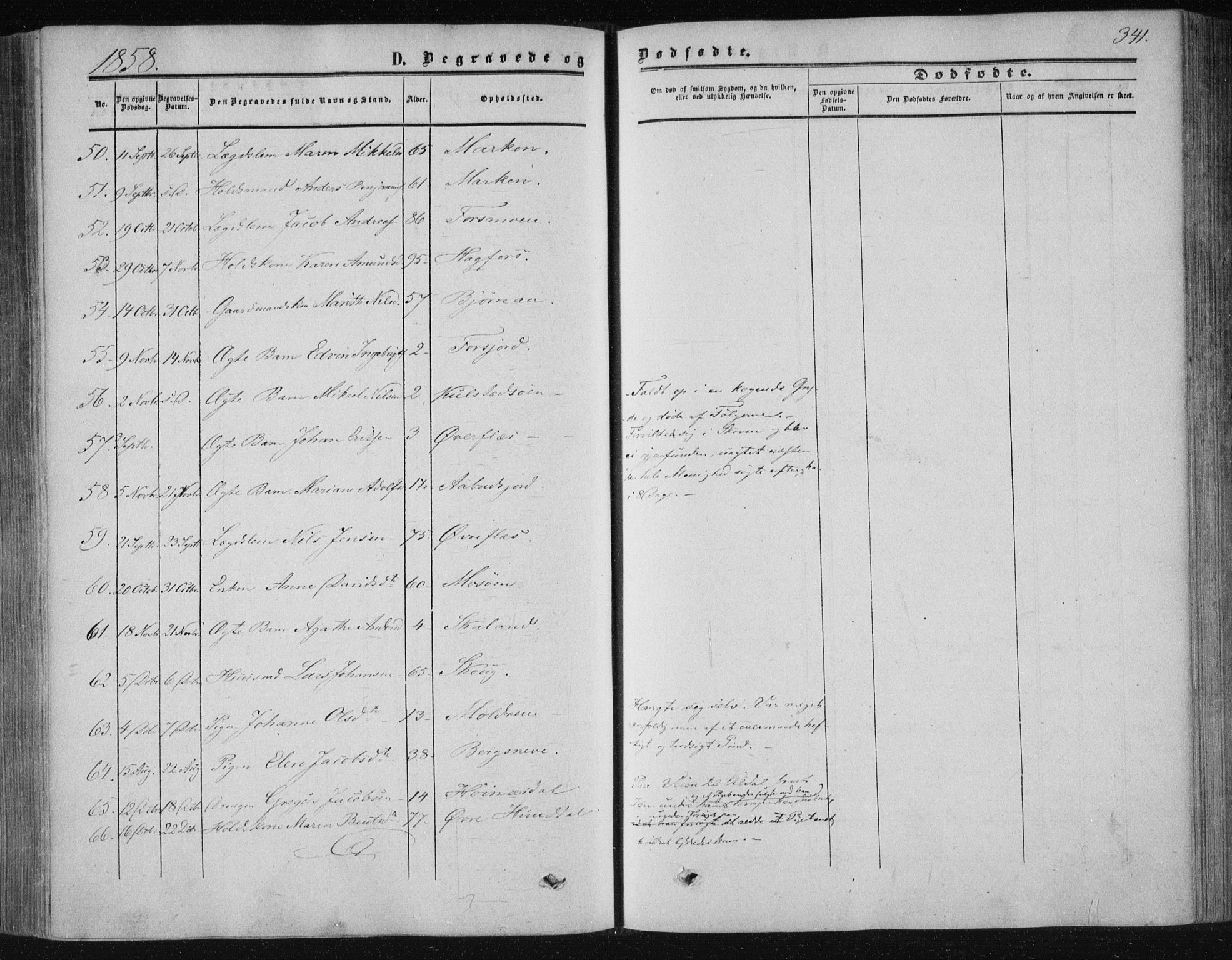 Ministerialprotokoller, klokkerbøker og fødselsregistre - Nordland, AV/SAT-A-1459/820/L0293: Parish register (official) no. 820A14, 1855-1865, p. 341