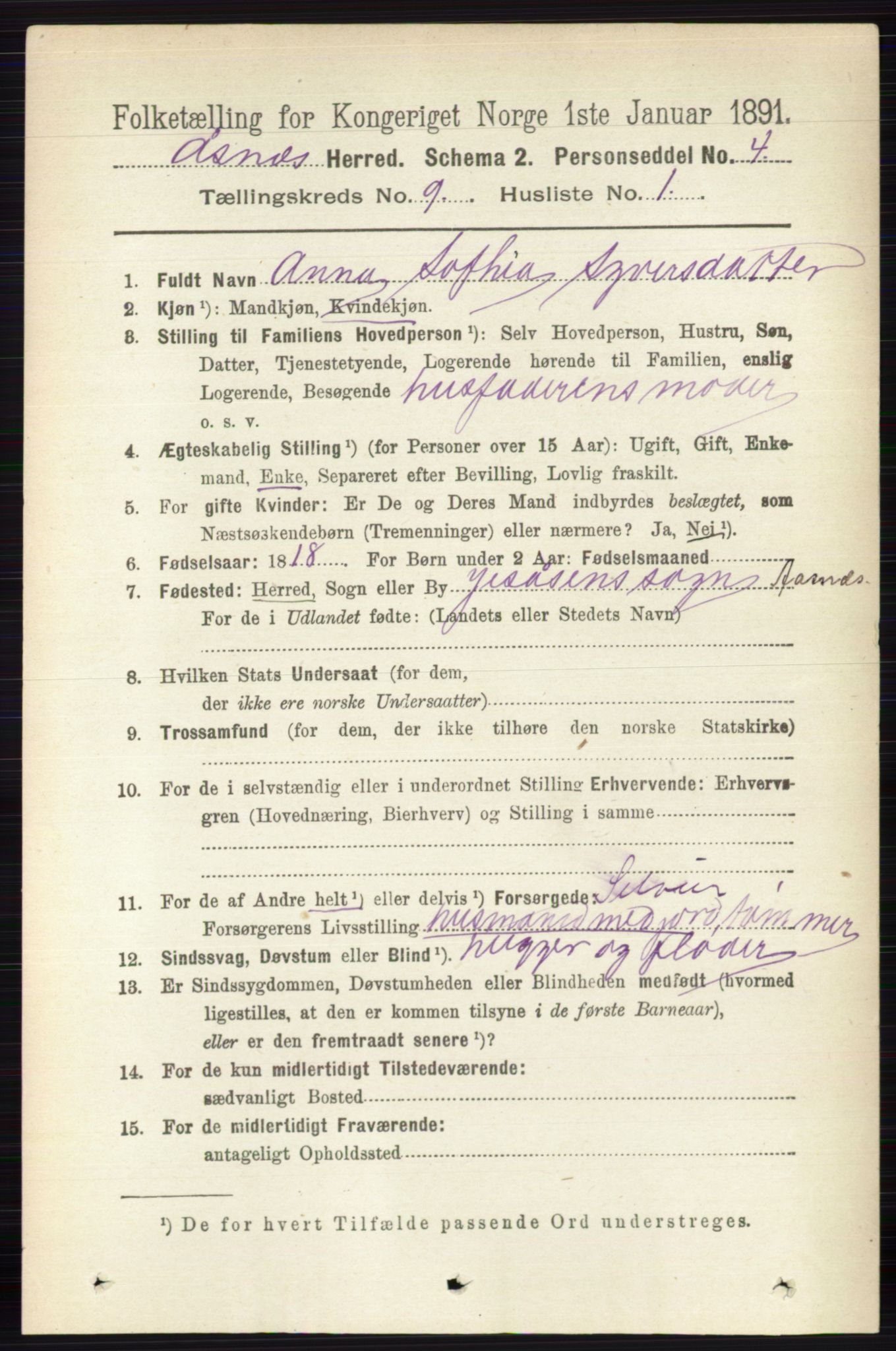 RA, 1891 census for 0425 Åsnes, 1891, p. 4619