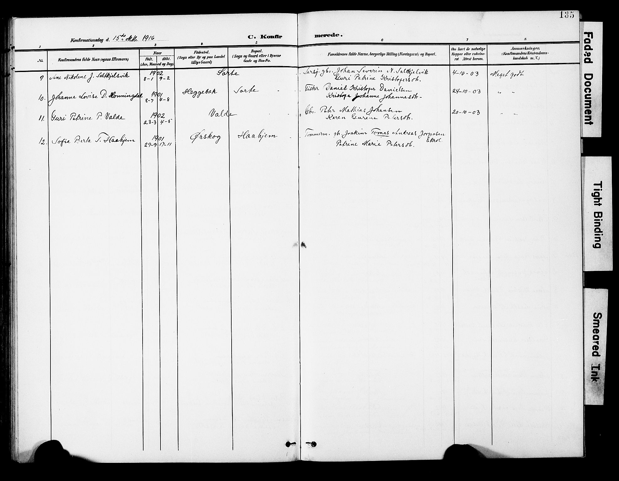 Ministerialprotokoller, klokkerbøker og fødselsregistre - Møre og Romsdal, AV/SAT-A-1454/524/L0366: Parish register (copy) no. 524C07, 1900-1931, p. 135