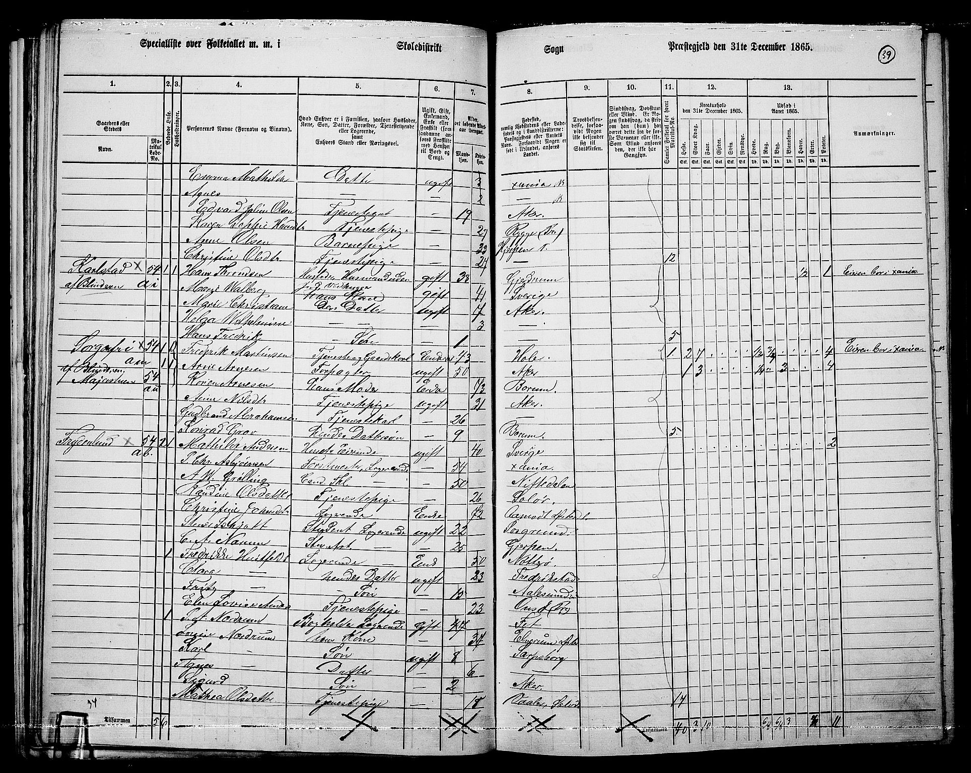 RA, 1865 census for Vestre Aker, 1865, p. 36