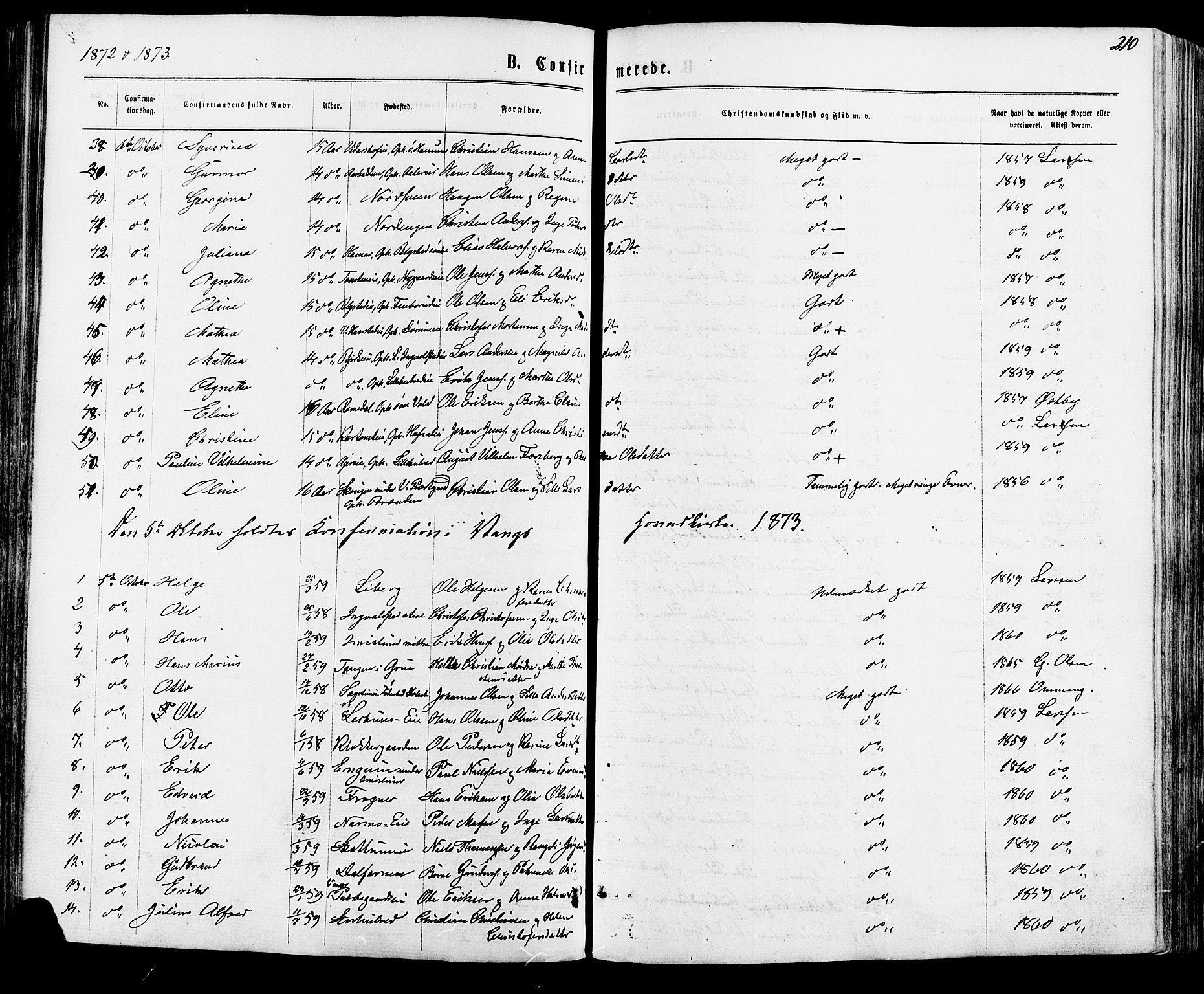 Vang prestekontor, Hedmark, SAH/PREST-008/H/Ha/Haa/L0015: Parish register (official) no. 15, 1871-1885, p. 210