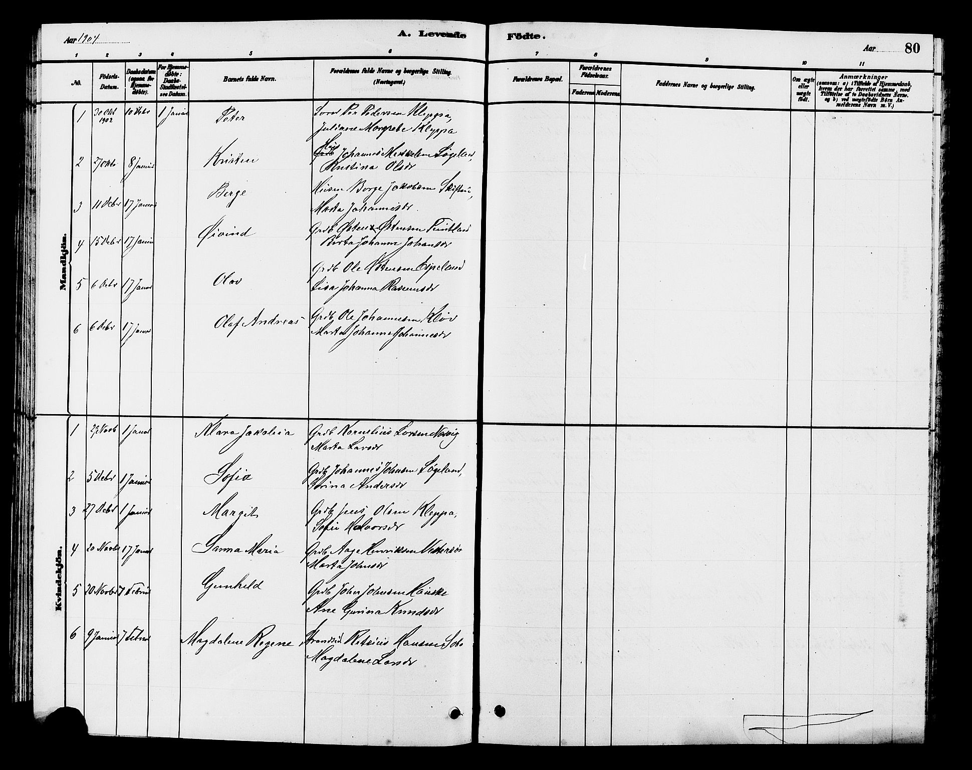 Hjelmeland sokneprestkontor, SAST/A-101843/01/V/L0007: Parish register (copy) no. B 7, 1880-1909, p. 80