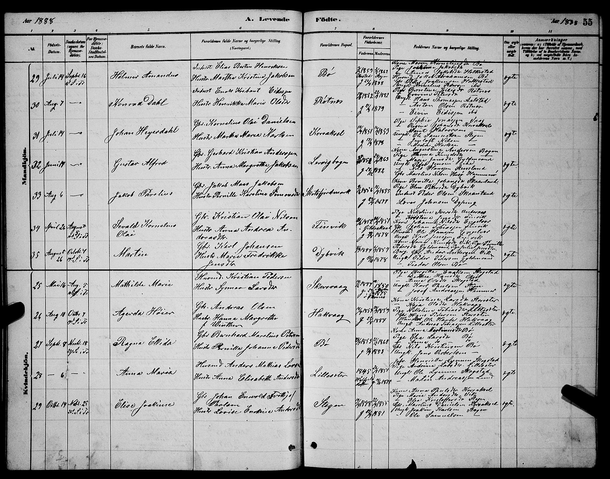 Ministerialprotokoller, klokkerbøker og fødselsregistre - Nordland, AV/SAT-A-1459/855/L0816: Parish register (copy) no. 855C05, 1879-1894, p. 55