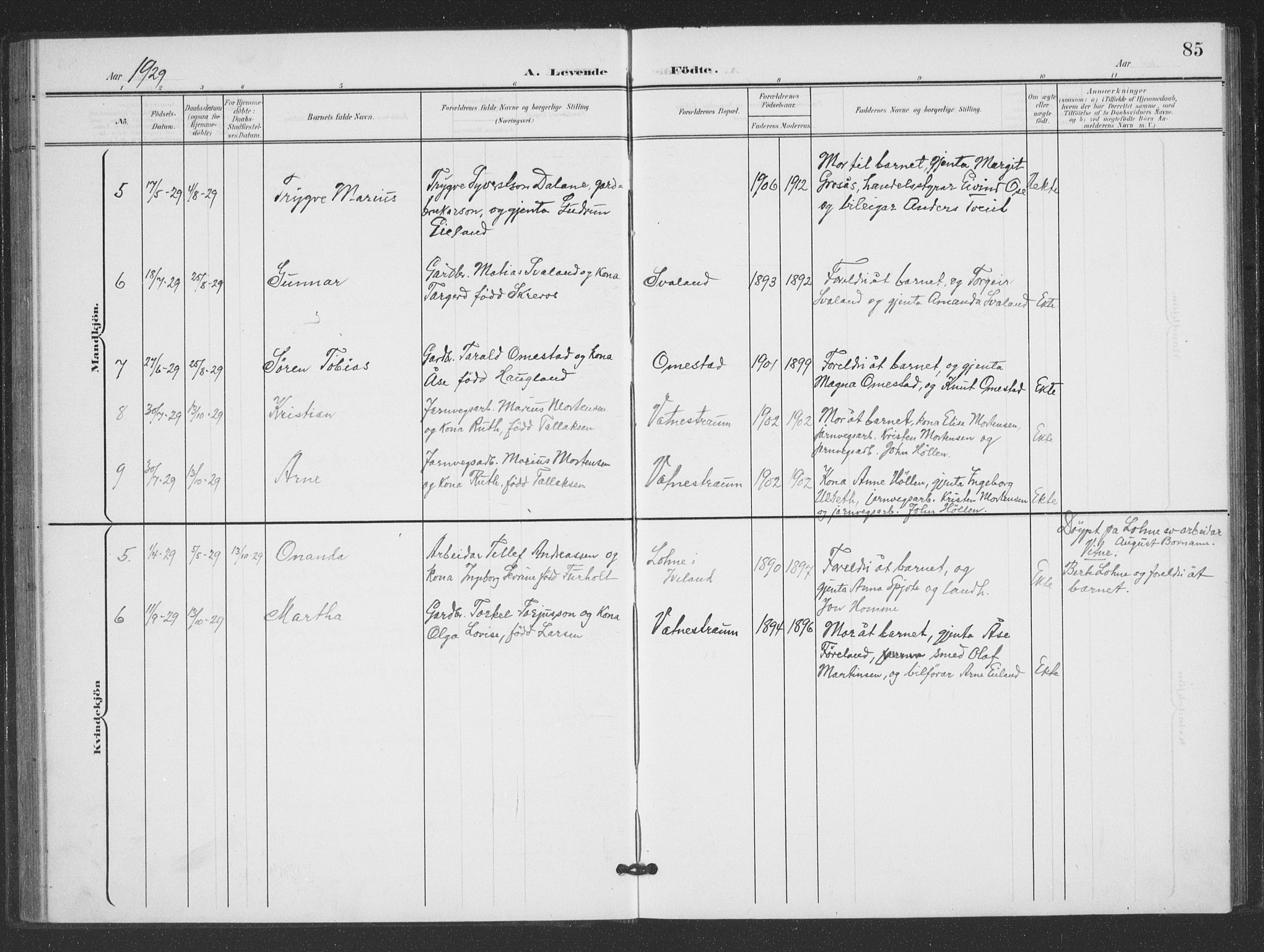 Evje sokneprestkontor, AV/SAK-1111-0008/F/Fb/Fbc/L0005: Parish register (copy) no. B 5, 1901-1935, p. 85