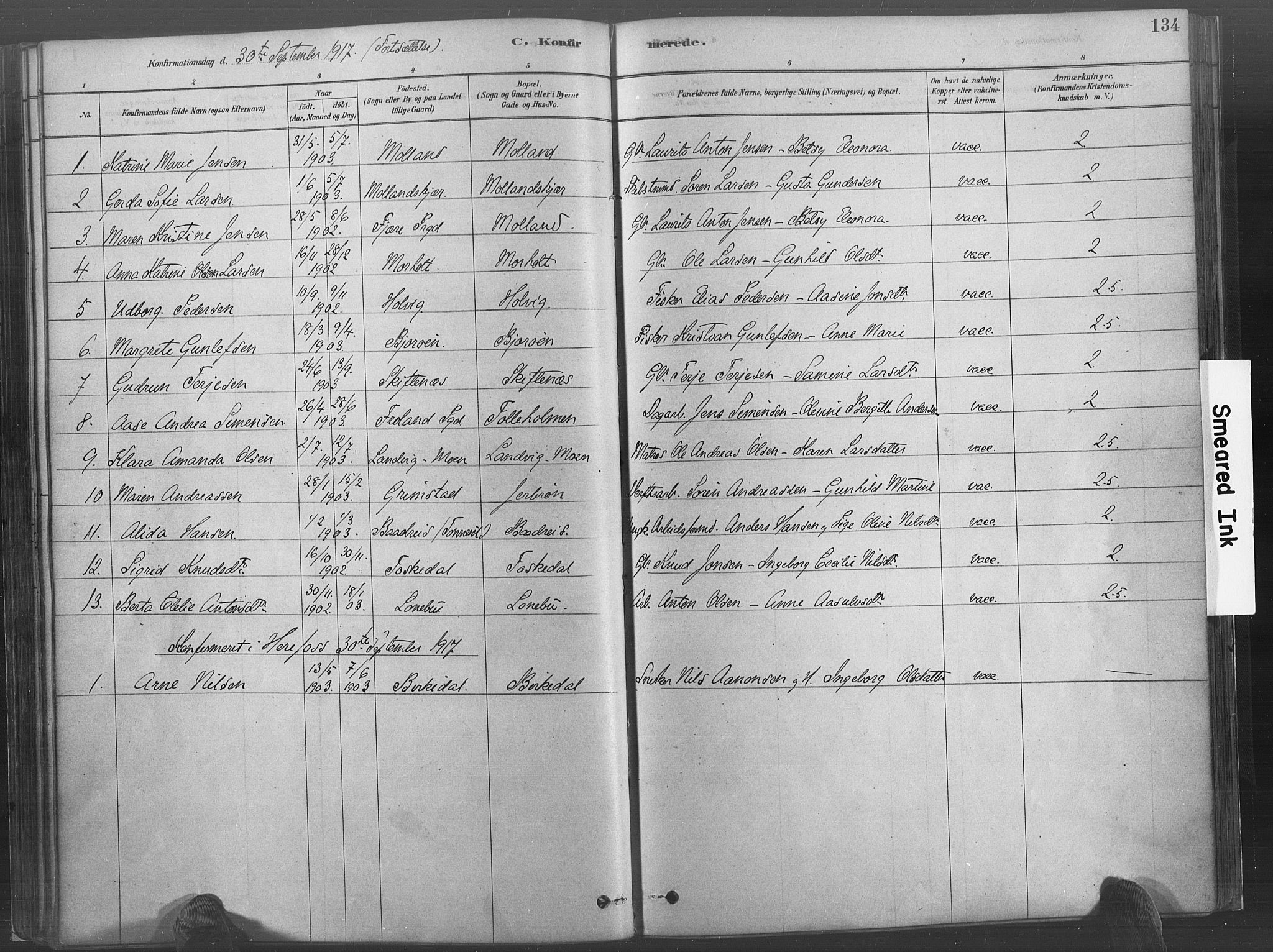 Hommedal sokneprestkontor, AV/SAK-1111-0023/F/Fa/Fab/L0006: Parish register (official) no. A 6, 1878-1897, p. 134